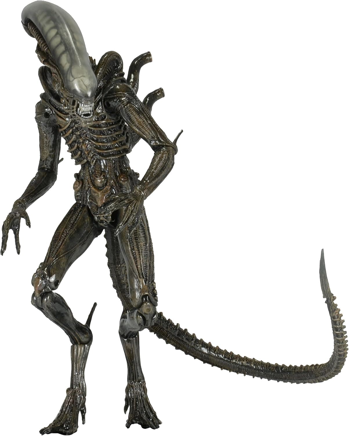 NECA Aliens - Series 6 Isolation Xenomorph Action Figure (7" Scale)