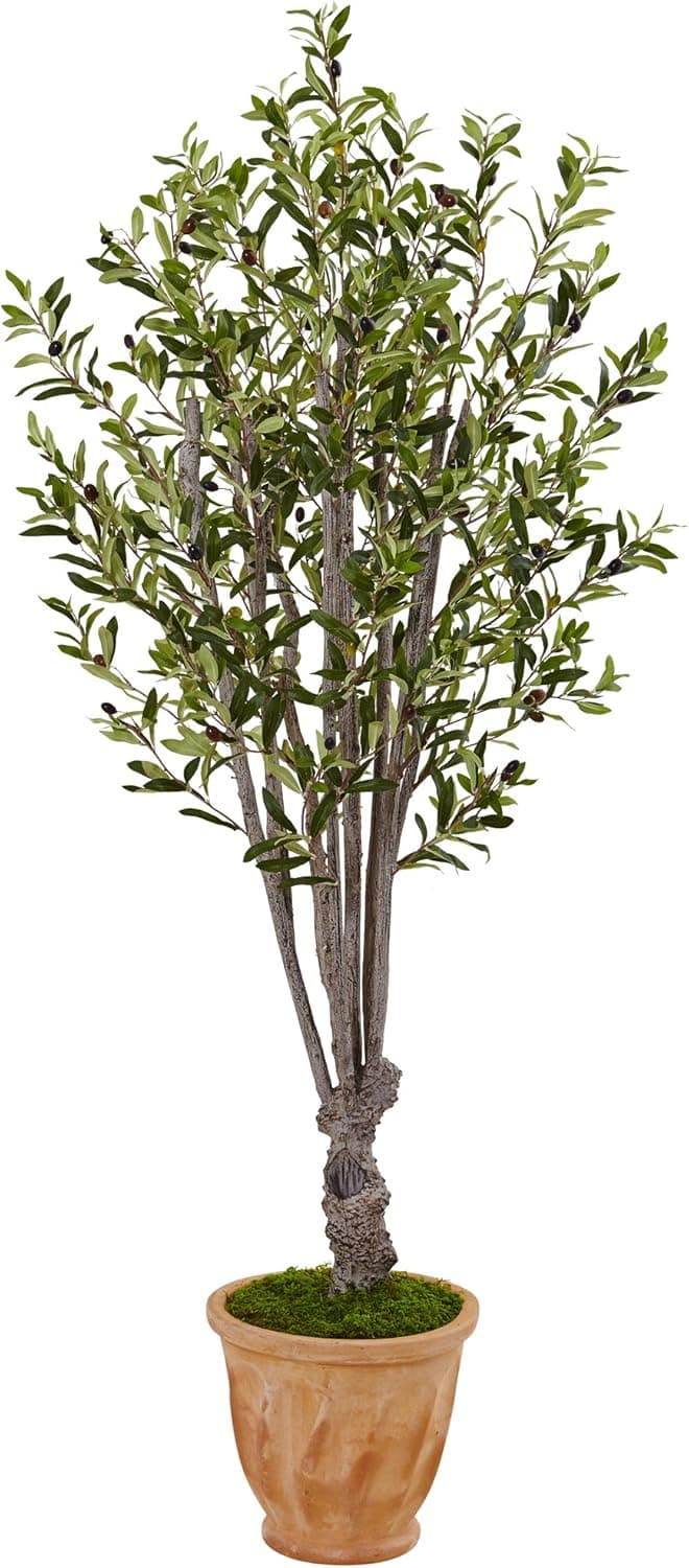 Nearly Natural 5853 N/A 5' Olive Artificial Tree in Terracotta Planter, Green