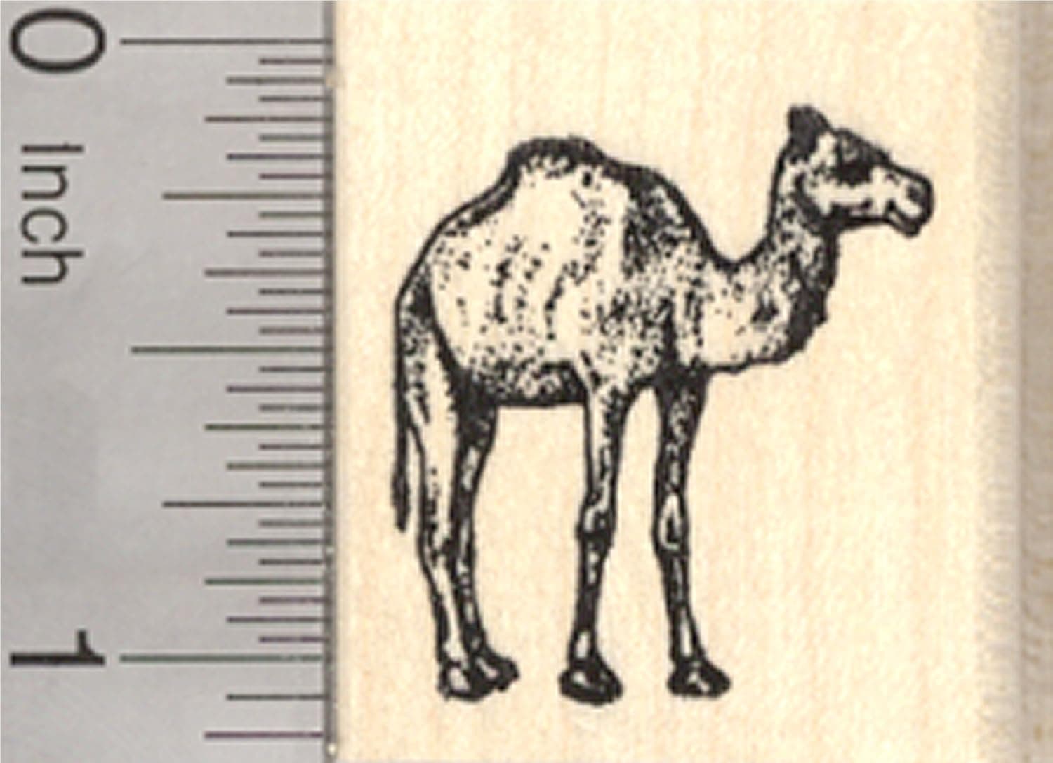 Camel Rubber Stamp, Small Dromedary
