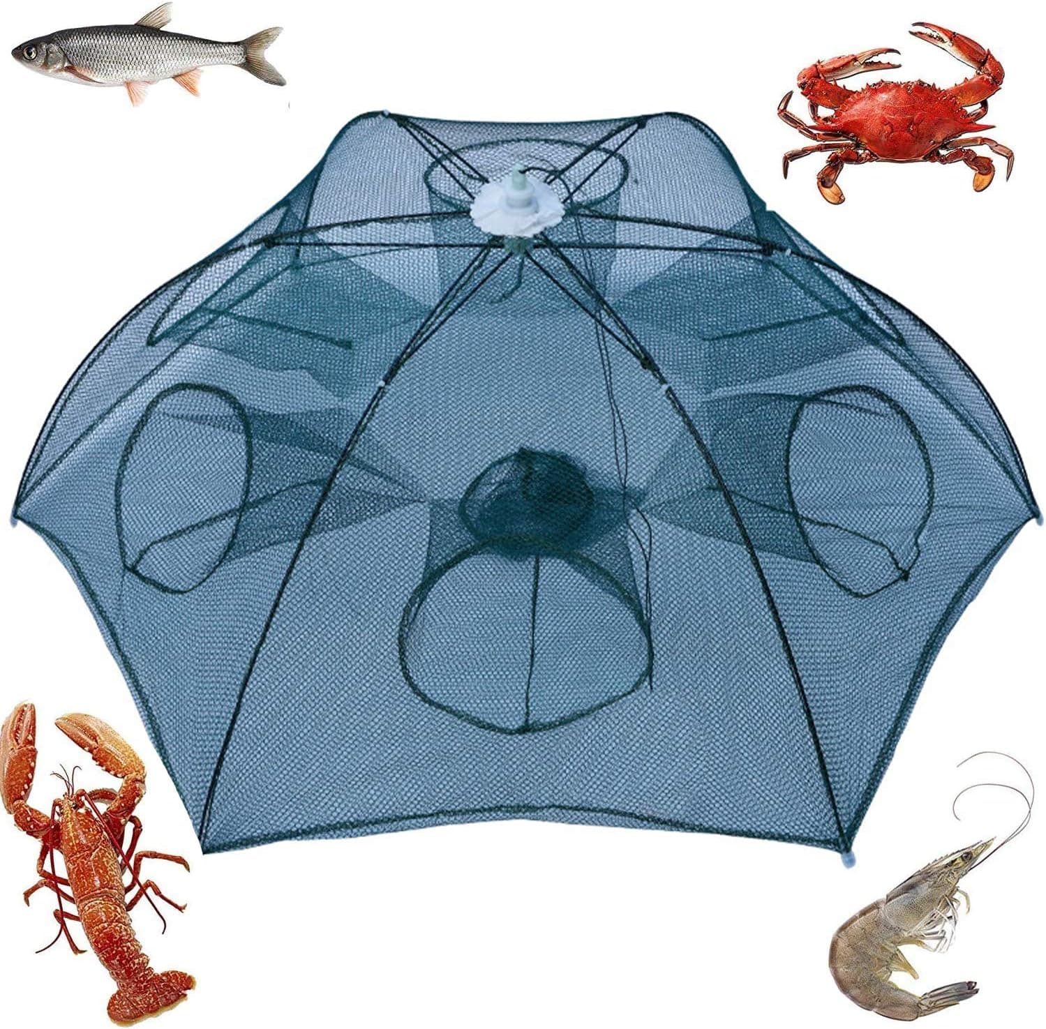 Noa Store Bait Trap for Fishing | Fish Traps for Fishing Foldable | Used as Minnow Traps for Bait Fish, Catfish Trap, Pinfish Trap | Compact and Foldable for Easy Transportation and Storage