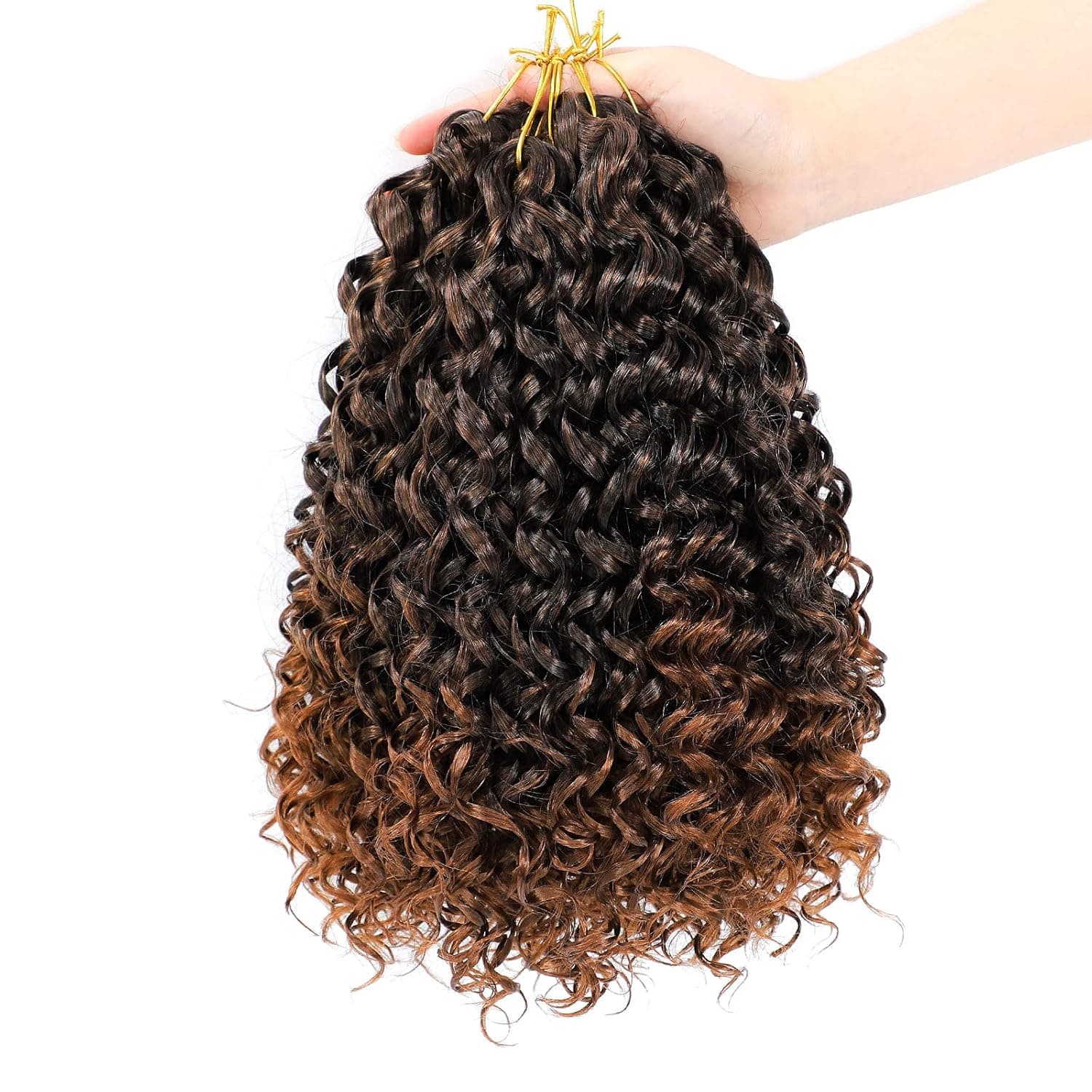 Dansama GoGo Curl Crochet Braids Beach Curl Water Wave Crochet Synthetic Hair Extensions (12 inch (Pack of 6), T1B/30)