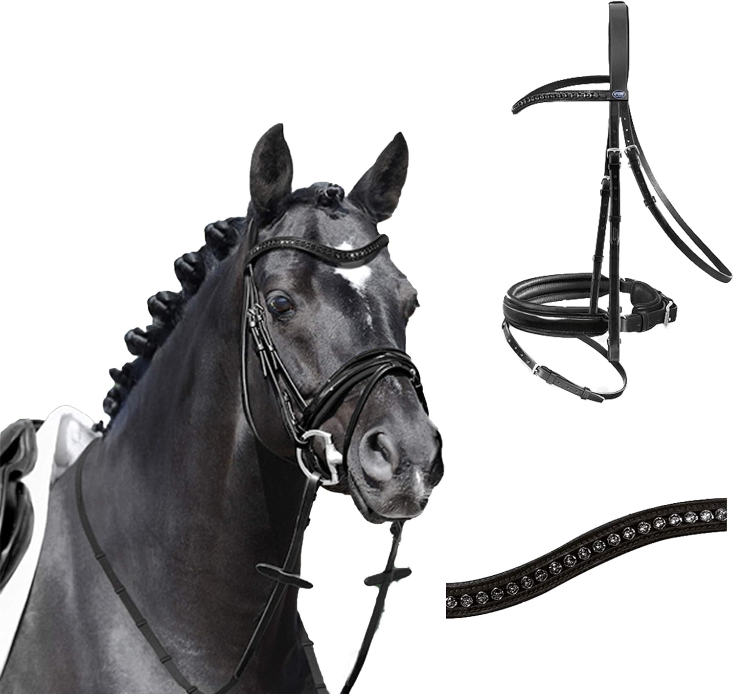 Passier Apollo Dressage Bridle with Flash Black (full)