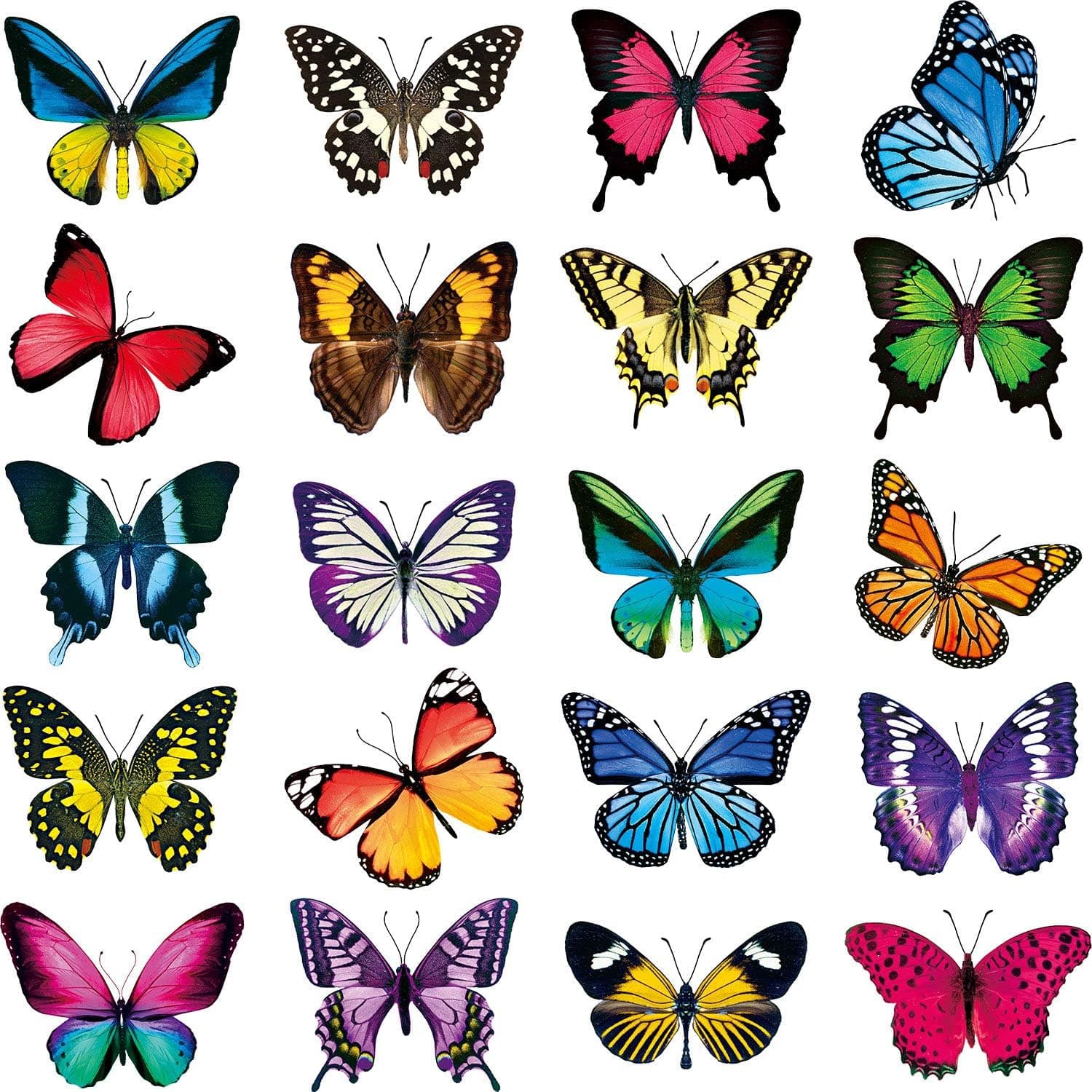 Pajean 20 Pcs Butterfly Window Clings Large Anti-Collision Window Clings Decals for Birds Non Adhesive Vinyl Cling Butterfly Stickers Cling Decor to Prevent Bird Strikes Stained Glass Window Film