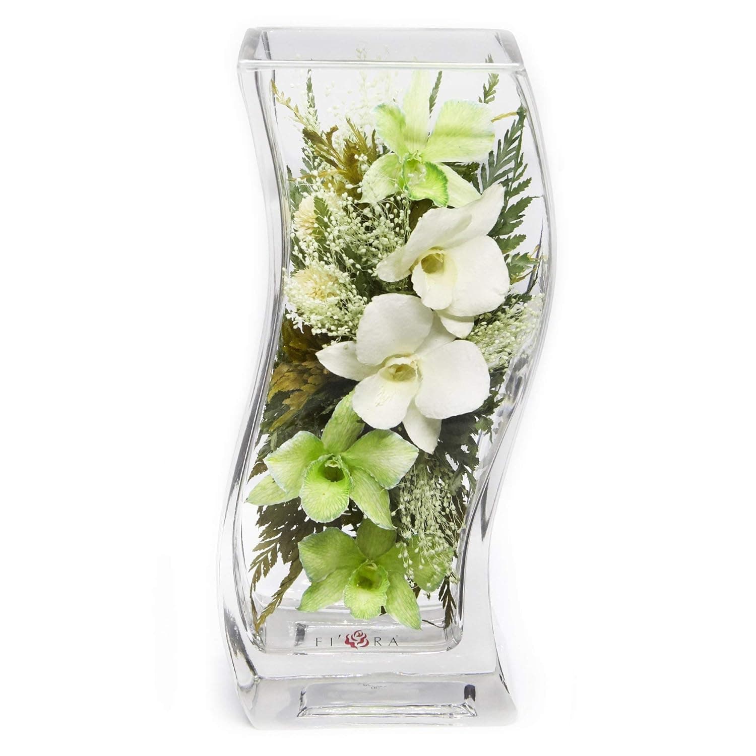 Fiora Flower | Long Lasting Orchids| Lasts up to 5 Years | No Water Need | Allergy Free | Odor Resistant | Unique Present Gift