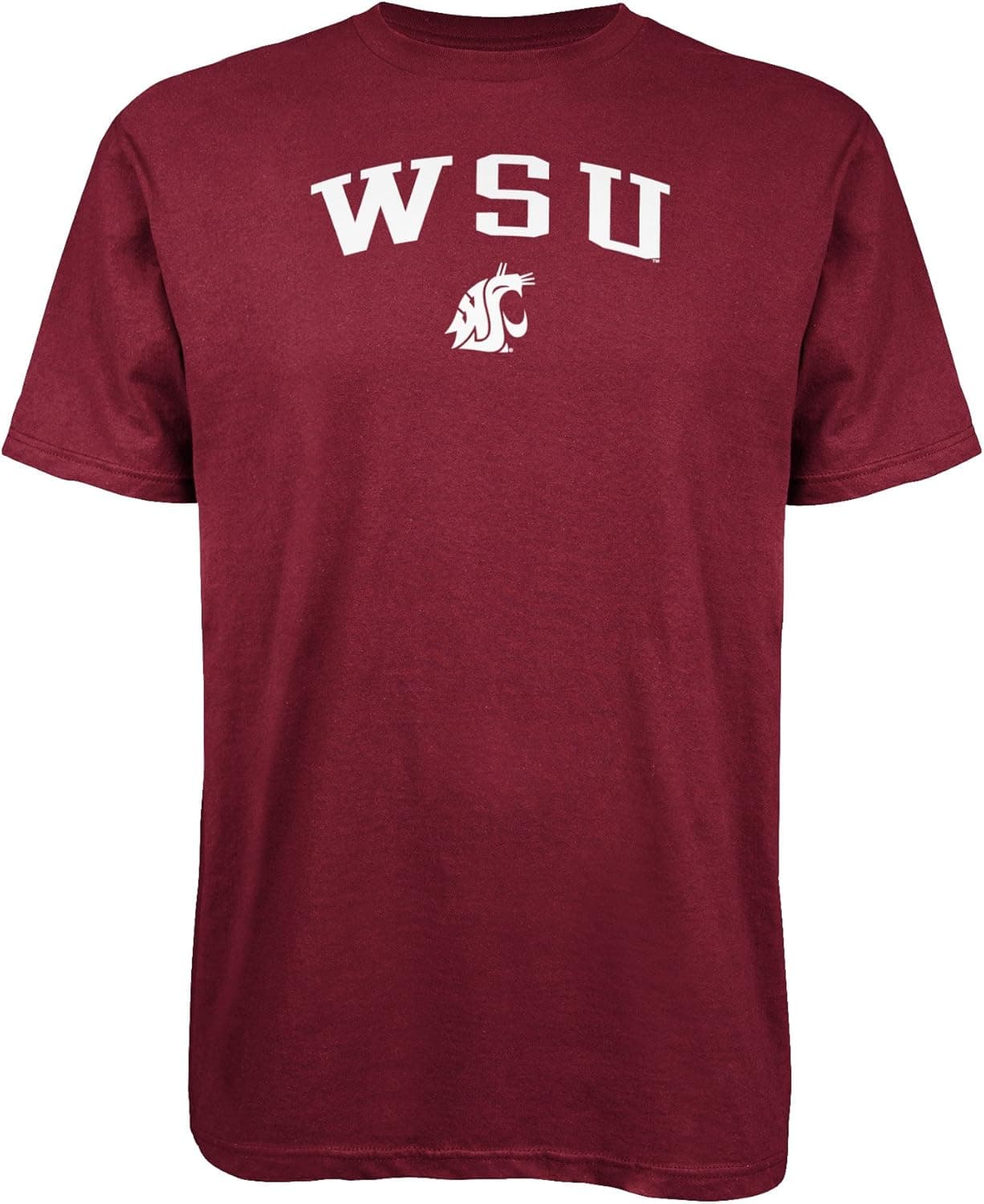NCAA Washington State Cougars Big Game Day T-Shirt