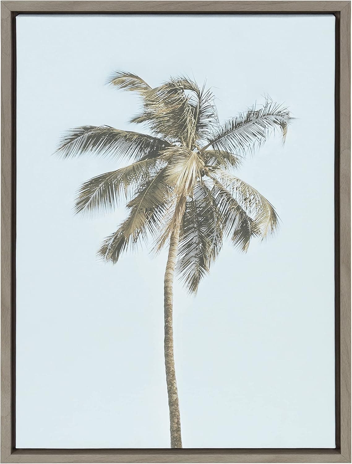 Kate and Laurel Sylvie One Coconut Palm Tree Framed Canvas Wall Art by The Creative Bunch Studio, 18x24 Gray, Coastal Beach Art for Wall