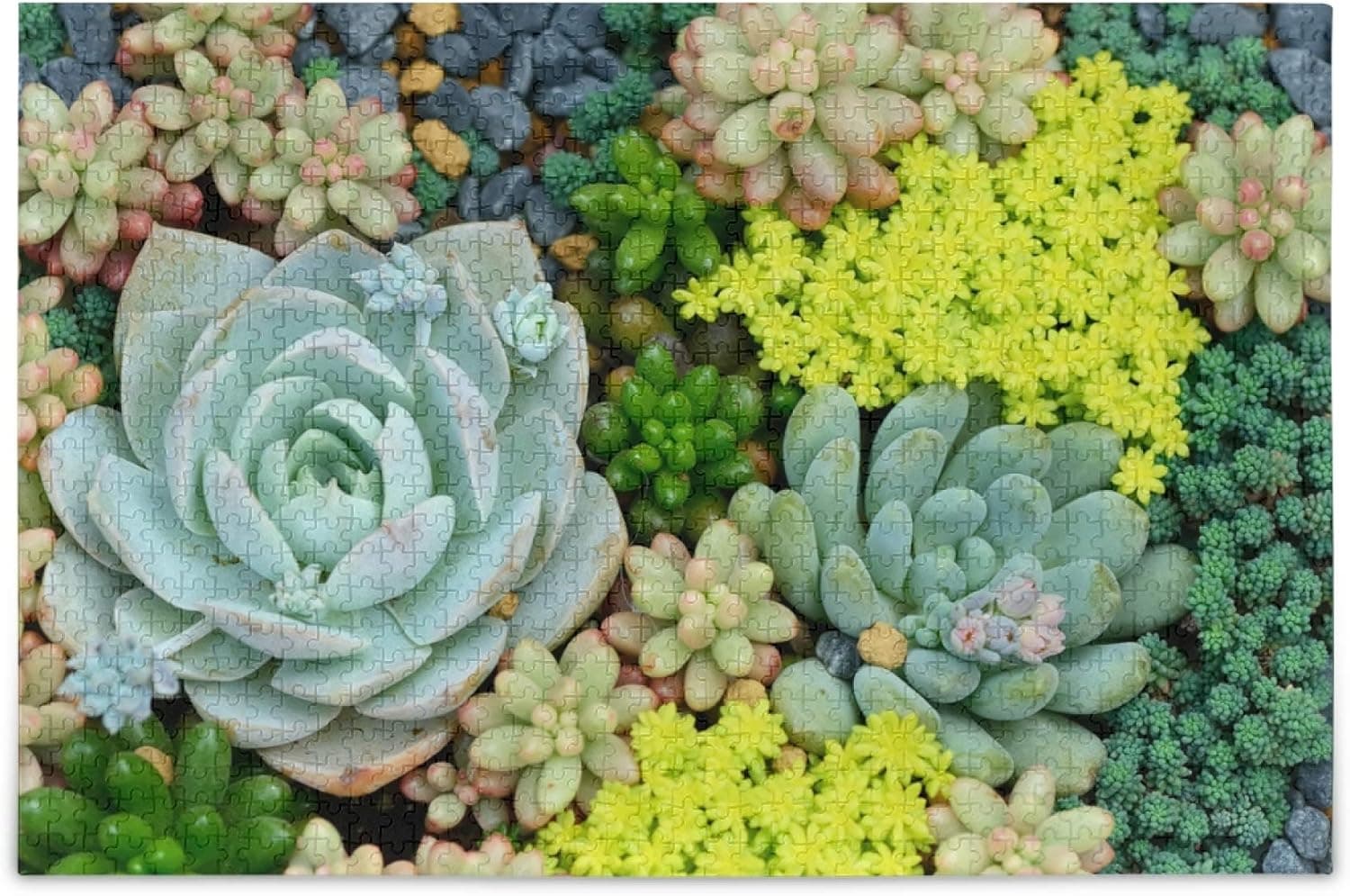 Succulent Plants Puzzle Wooden Jigsaw Puzzle 500 1000 Piece for Adult Teen Kid