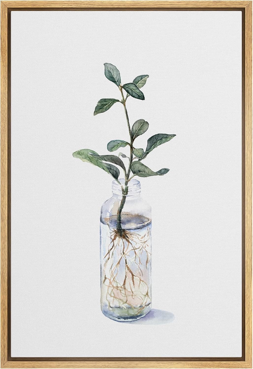 SIGNWIN Framed Canvas Print Wall Art Green Plant with Roots in Water Bottle Floral Plants Illustrations Minimalism Rustic Relax/Calm Cool for Living Room, Bedroom, Office - 16"x24" Natural