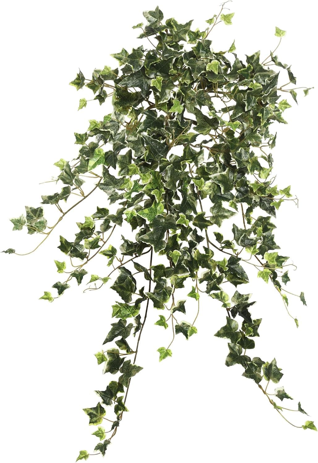 Vickerman 26" Artificial Variegated Mini Ivy Hanging Bush - Faux Indoor Plant Bush - Greenery for Home Or Office Decor - Maintenance Free
