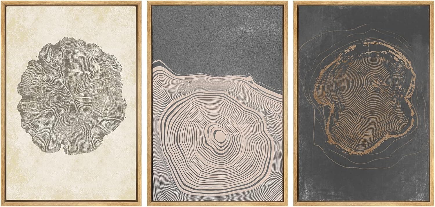 SIGNWIN Framed Canvas Print Wall Art Set Pastel Gray Wood Tree Ring Spirals Nature Abstract Drawings Modern Art Decorative Minimal for Living Room, Bedroom, Office - 16"x24"x3 Natural