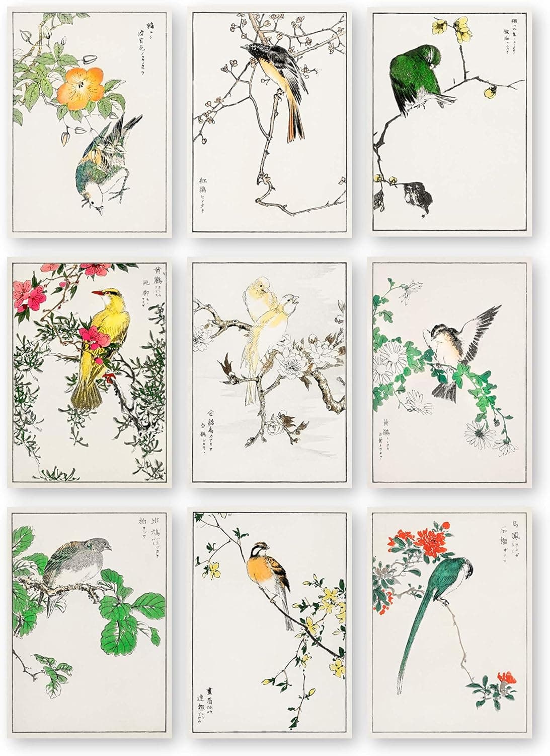 Japanese Botanical Bird Prints by Ink Inc | Asian Wall Art | Floral Wall Decor | Set of 9 5x7 | Unframed