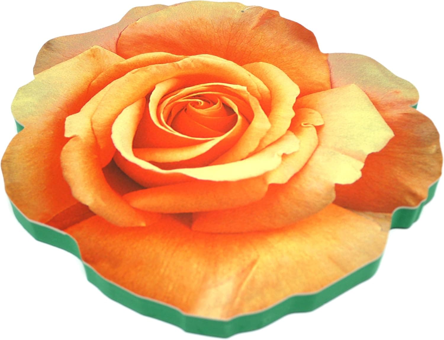 Yeoman YEO417 15-Inch Gardening Kneeler Pad, Warm Wishes Rose
