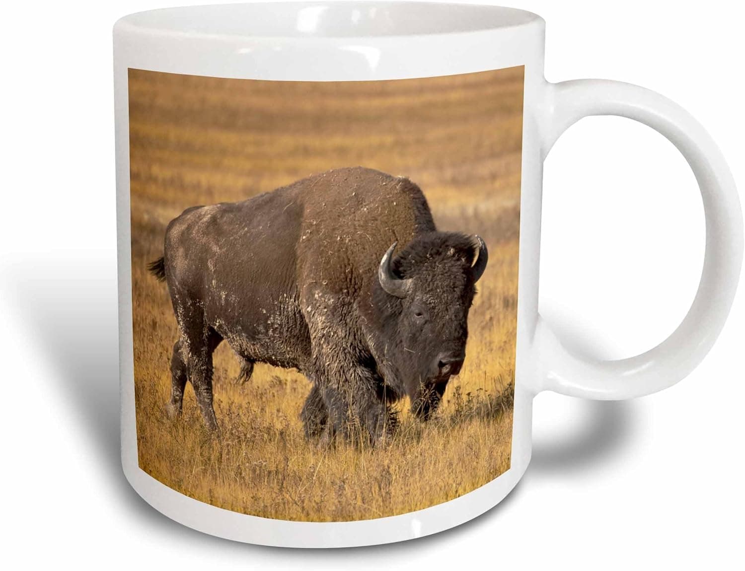 3dRose Montana, Yellowstone NP, Bison-US27 PWA0000-Patrick J Wall Two Tone Mug, 11 oz, Red/White