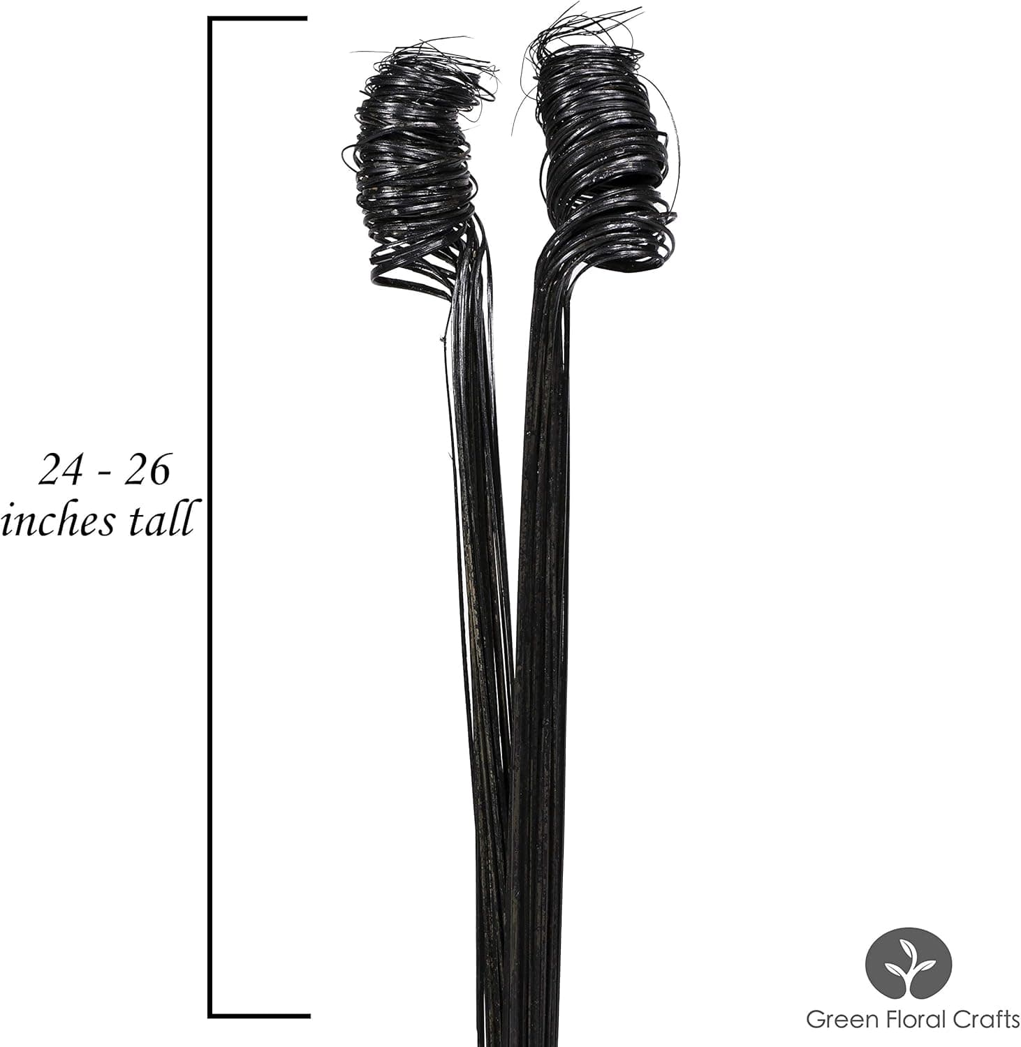 Green Floral Crafts 1 Pack (2 Bundles of 20 Stem) Glitter Sparkle Curly Ting Branches 2 Feet Tall - Perfect Vase Filler Or Decoration for Weddings Holidays (Black Glitter Sparkle)