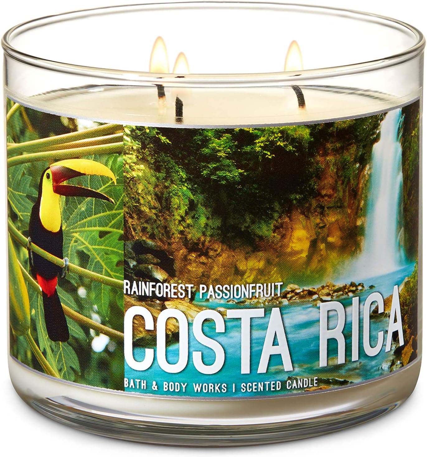 BW Bath and Body Works 3 Wick Candle Rainforest Passionfruit Costa Rica
