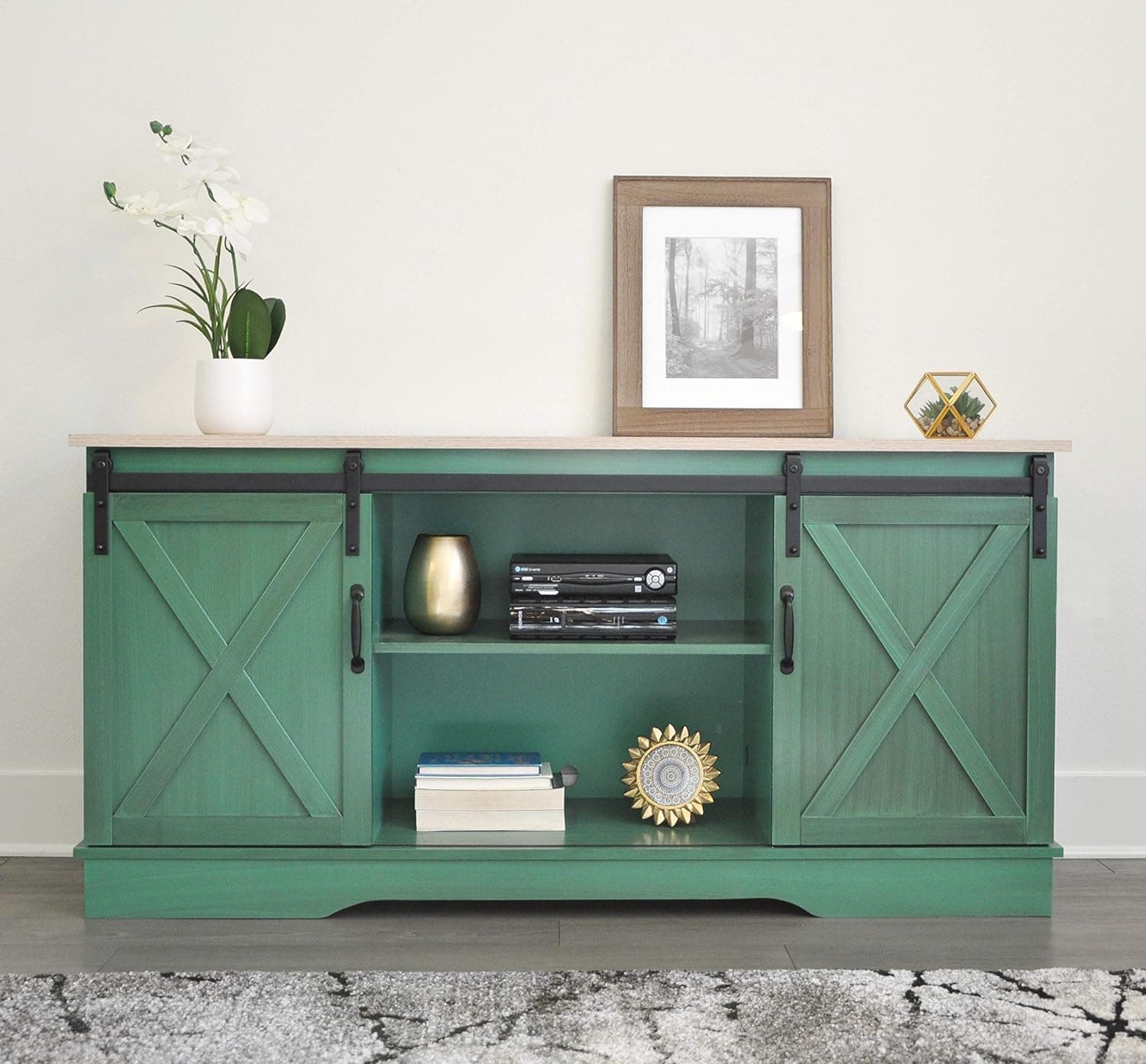 Rainbow Sophia Antique Barn Door TV Stand for TVs up to 65" (Spruce Green)