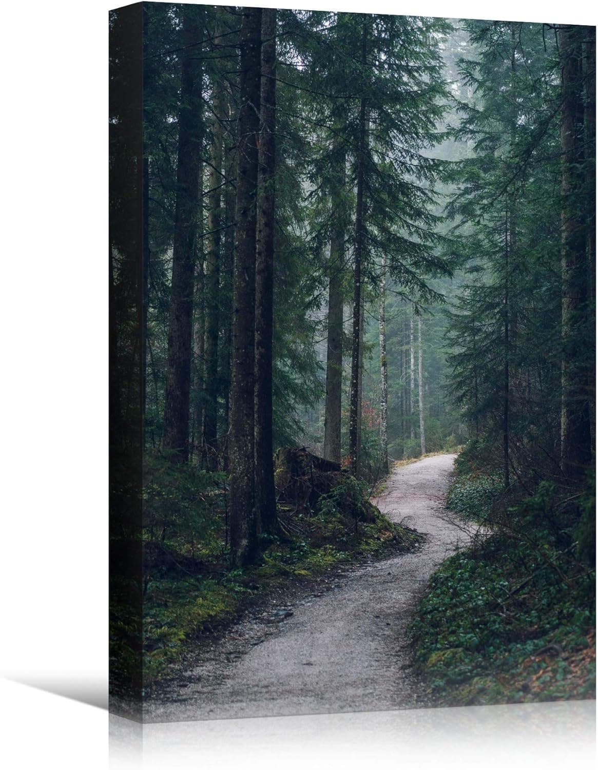 SIGNWIN Canvas Wall Art Green Forest Dramatic Forest Landscape Living Room Multicolor Photography Rustic - 16x24 inches