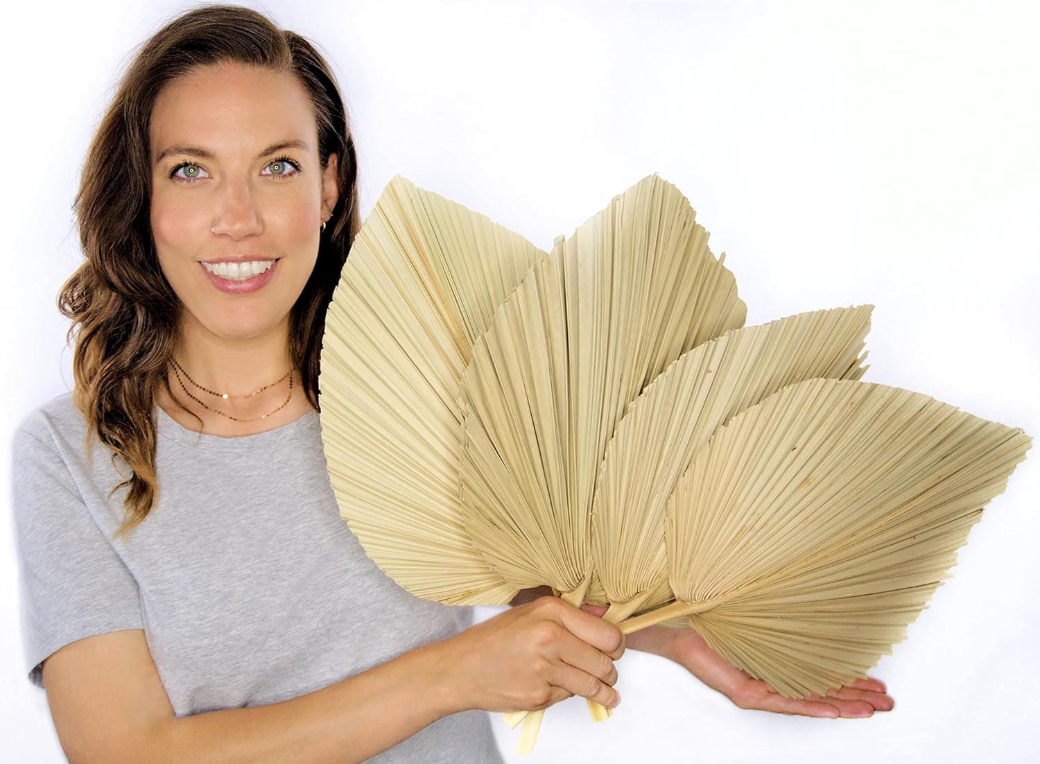 BB Designs Natural Dry Palm Leaves, 4pc Large 18"x10", Heart Fan Shaped Palm Leaf Spears, Sophisticated Home Boho Wedding Tropical Jungle Decor, Fall Decoration, Luau Centerpiece, Bouquet, Cake Topper