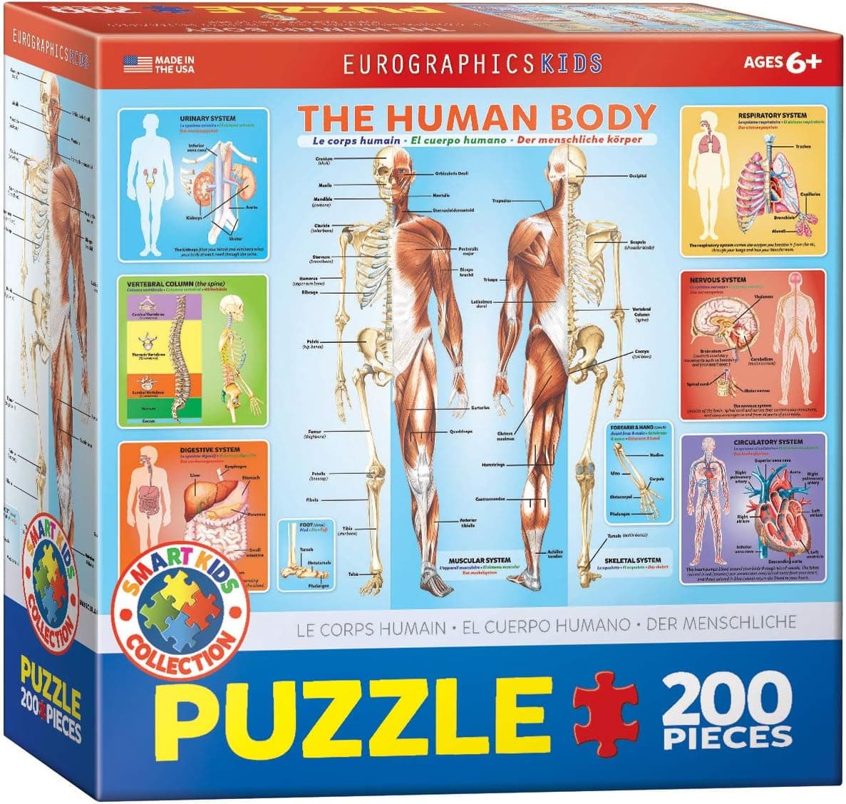 EuroGraphics Human Body Jigsaw Puzzle (200-Piece)