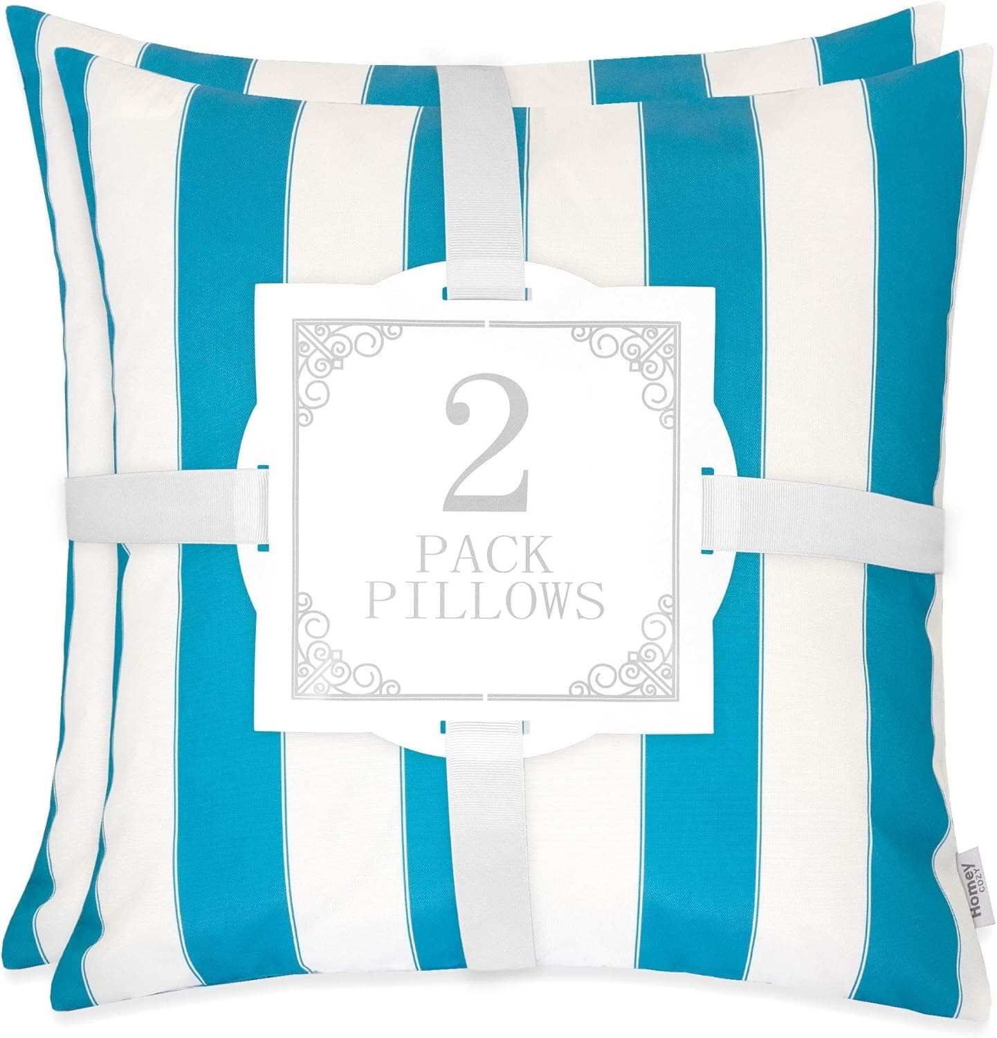 Homy Cozy 7H5241-20-Olivia Accent Pillow, 2 Pack, Aqua