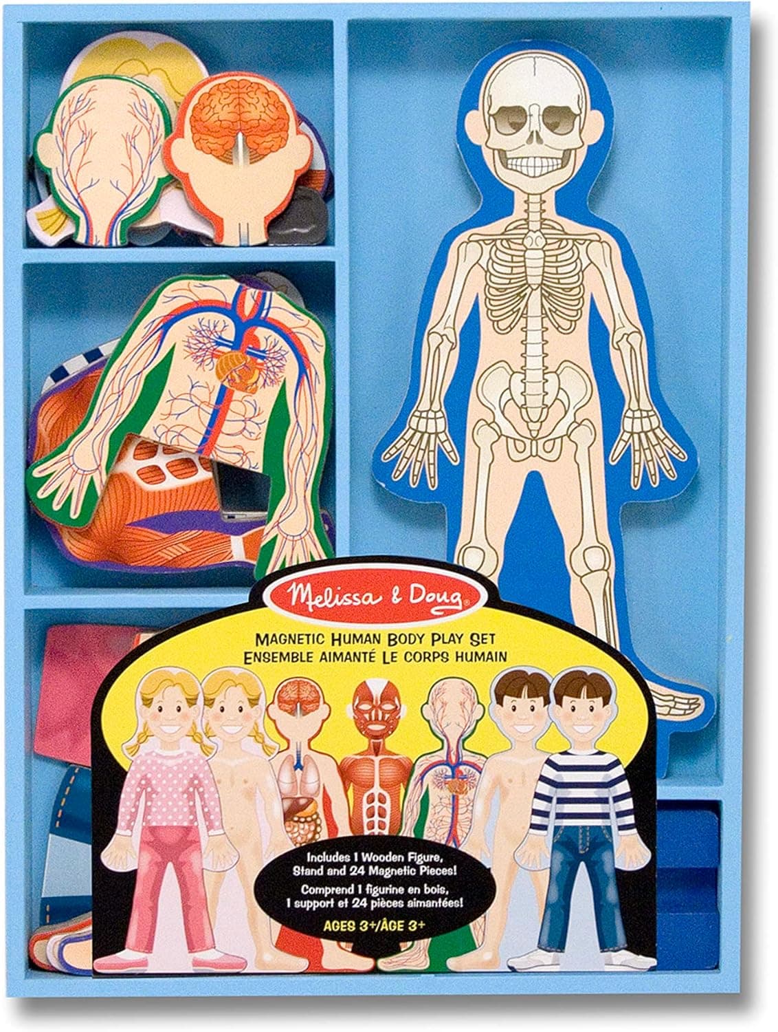 Melissa & Doug Magnetic Human Body Anatomy Play Set With 24 Magnetic Pieces and Storage Tray - Human Body Model For Kids, Human Body Puzzle For Preschoolers And Kids Ages 3+