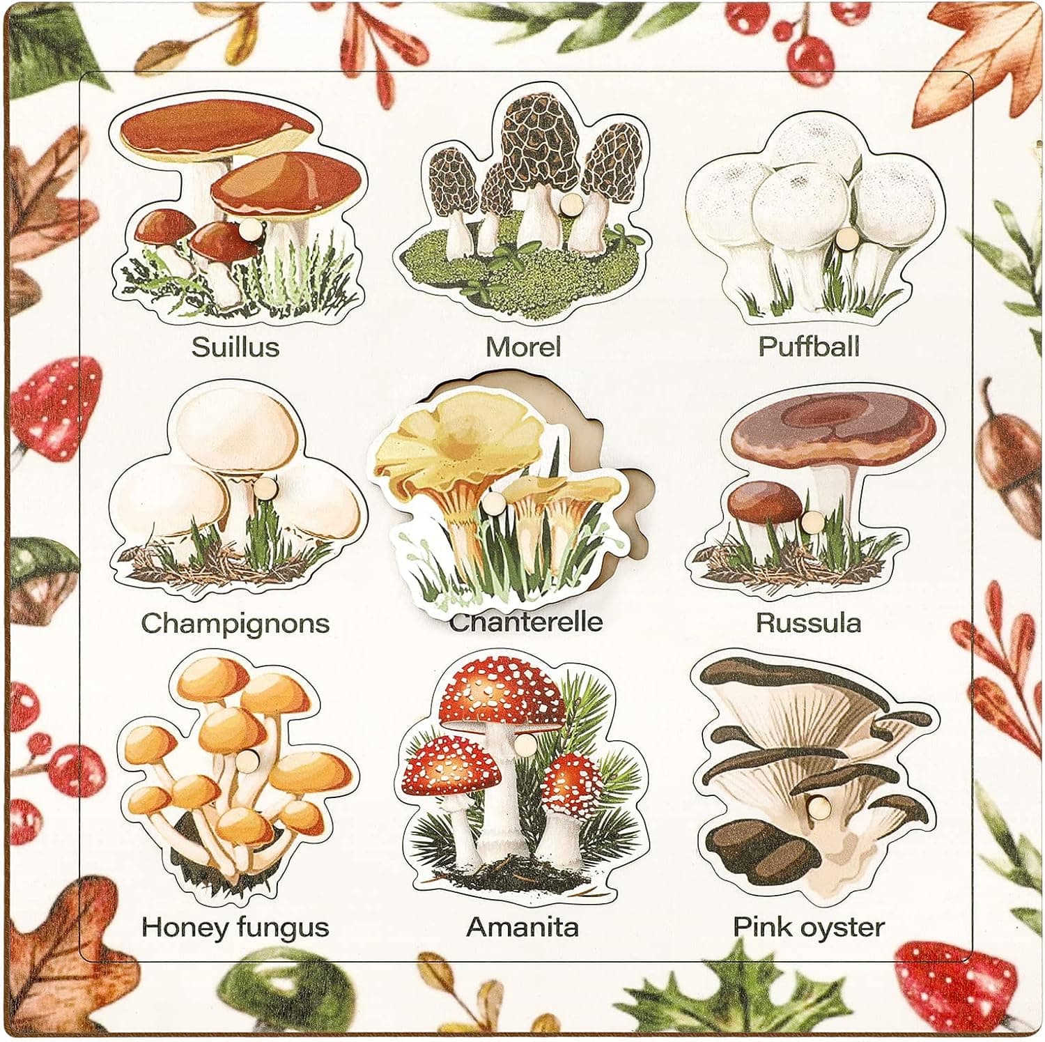 Spiareal Mushroom Wooden Jigsaw Puzzles with Knobs Educational Learning Stem Toys Thanksgiving Montessori Puzzle Christmas Mushroom