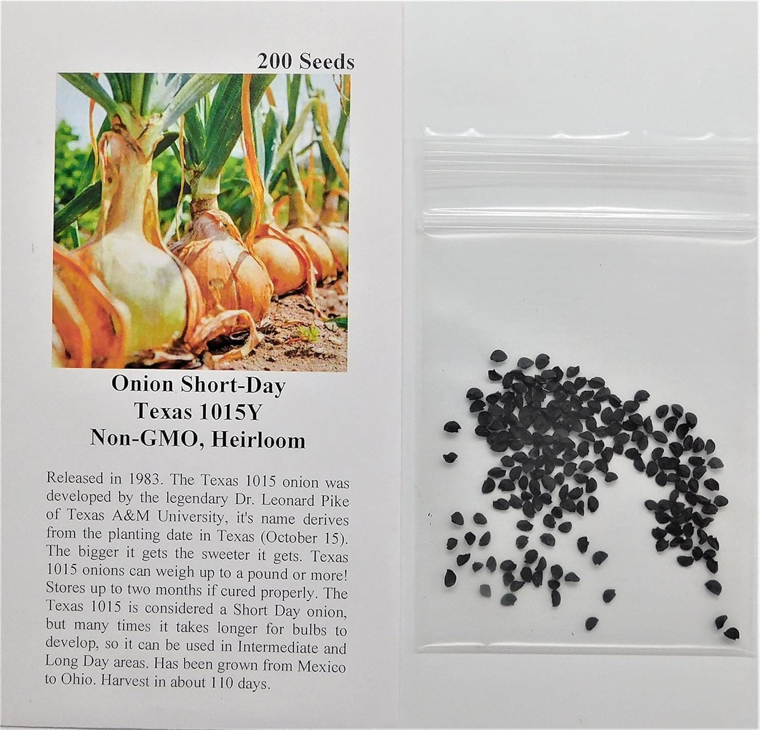 David's Garden Seeds Onion Texas Grano 1015Y 1766 (Yellow) 200 Non-GMO, Heirloom Seeds