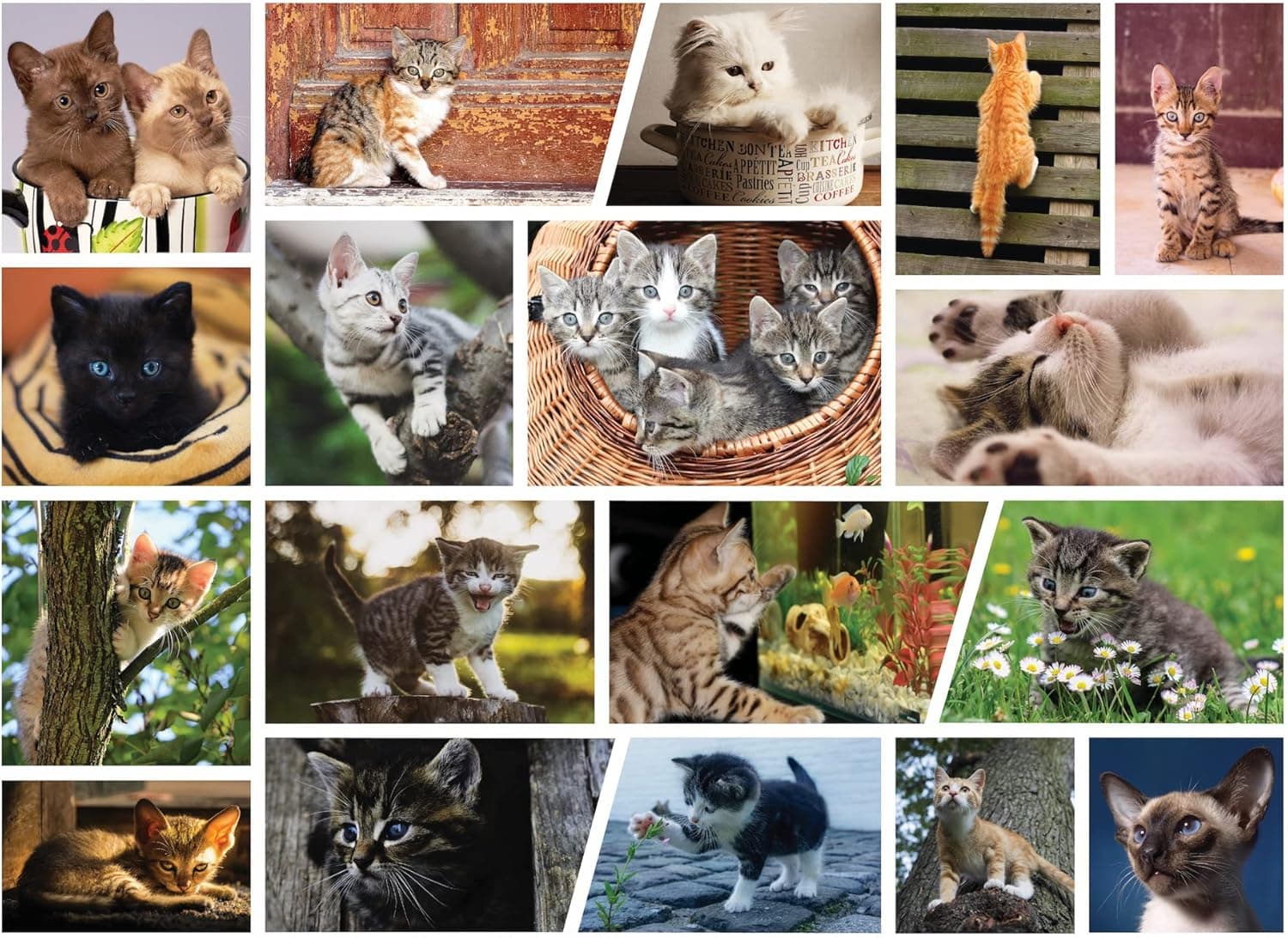 Cute Kittens Jigsaw Puzzle 500 Piece Cute Cat Lover Collage, Kitty Cat Family Puzzle with Black Cat, Tabbies, Siamese & More - 500 Piece Puzzles for Adults & Purrfect Cat Puzzles for Kids & Family