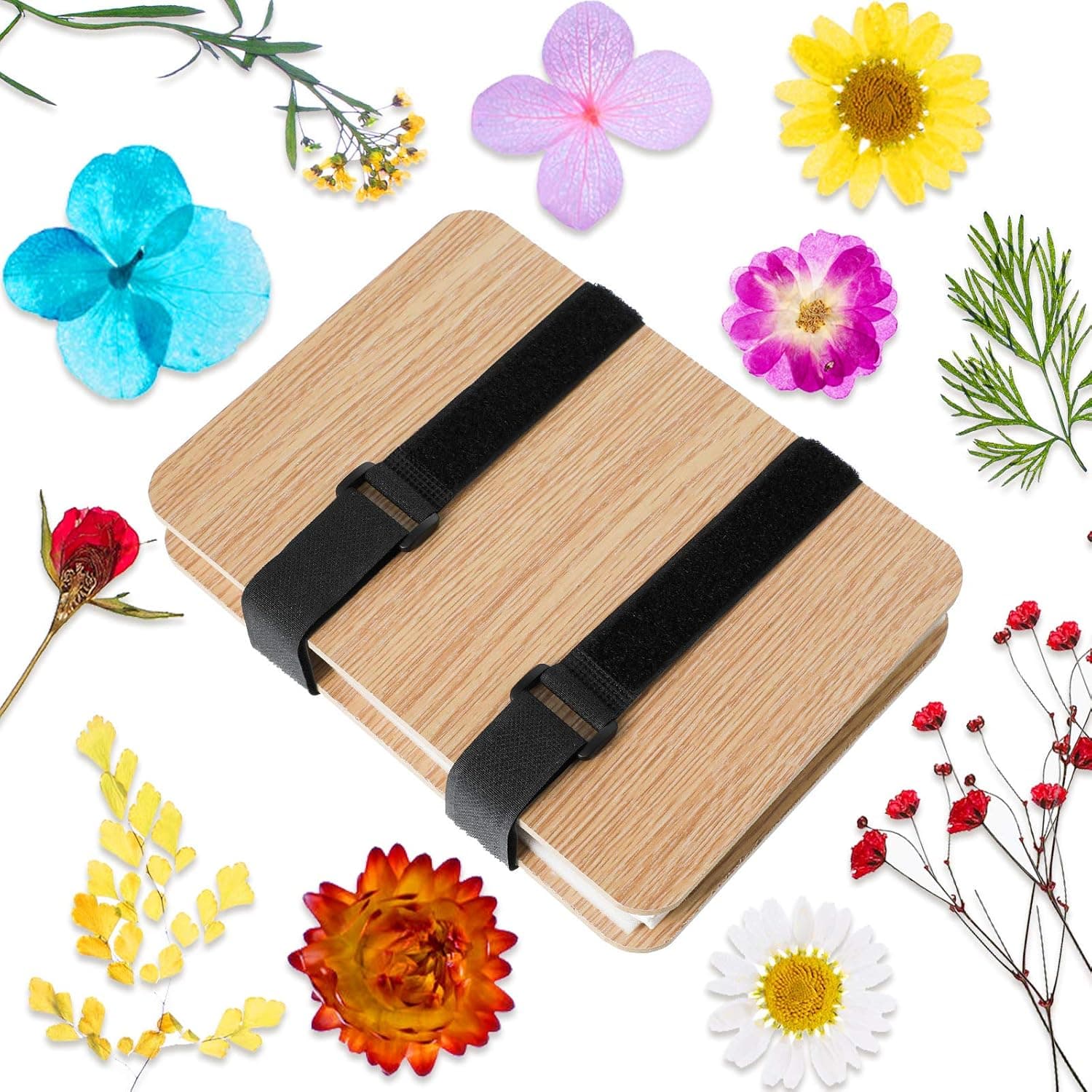 52 Pieces Flower Press Kit 6 Layers Microwave Plant Press Kit Leaf Press, Nature Press, Craft Press Flowers Leaves Plant Foliage Specimen for DIY Art Handicrafts Specimens Outdoor Learning Set