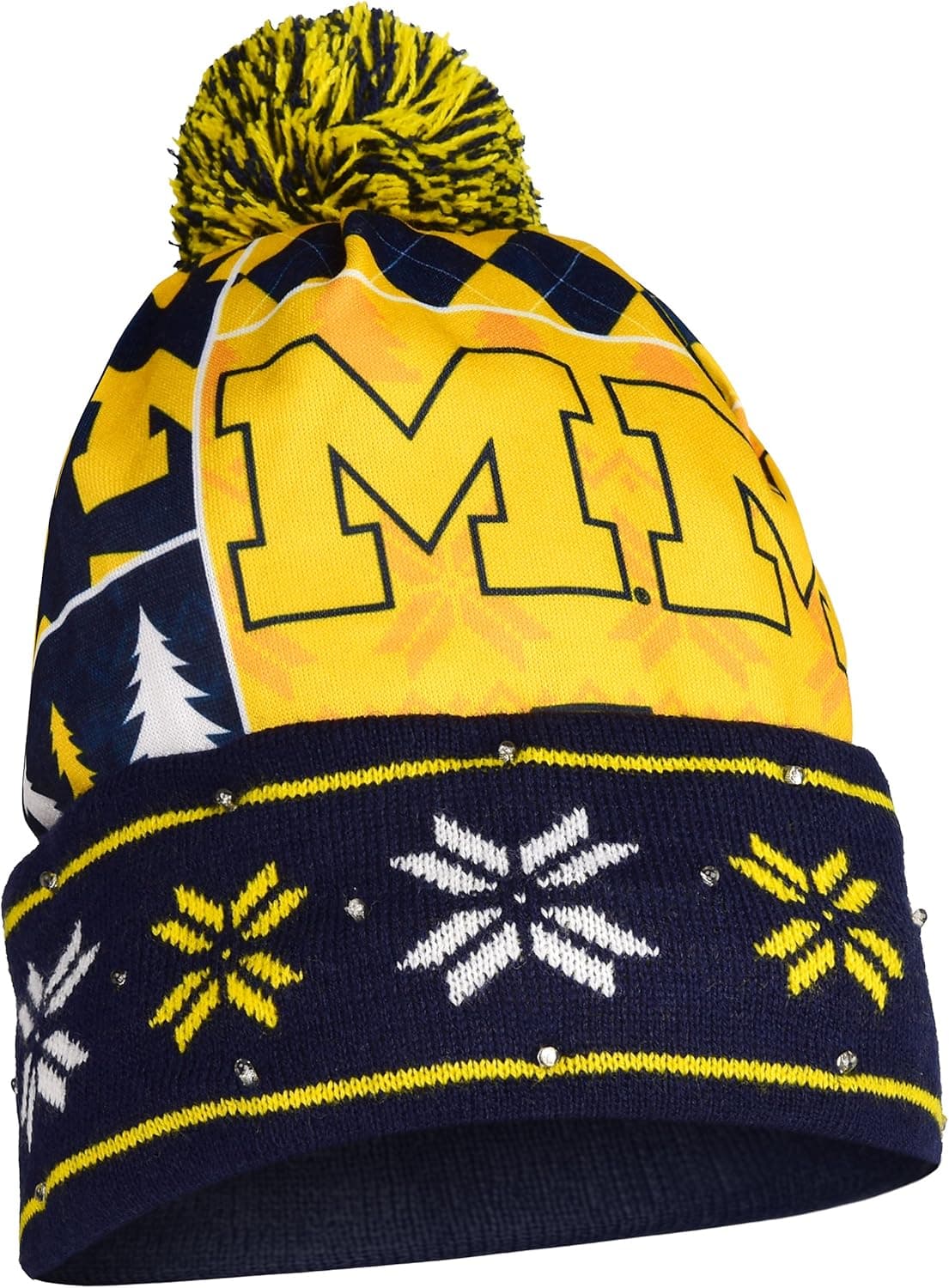 FOCO NCAA Light Up Beanie