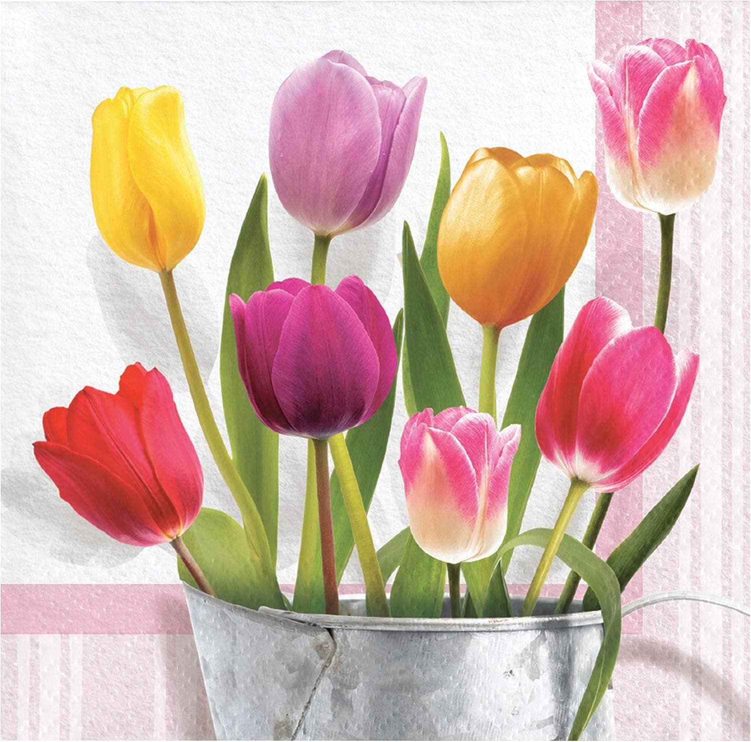Creative Converting Springtime Tulips Beverage Napkins, 5", Multi-color