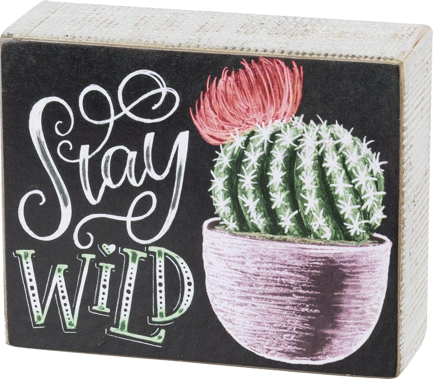 Primitives by Kathy Stay Wild Hand-Lettered Style Cactus-Themed Wood Box Sign, Colorful Chalk Design, Charming Illustrated Wall Décor with Calligraphy, 5" x 4"