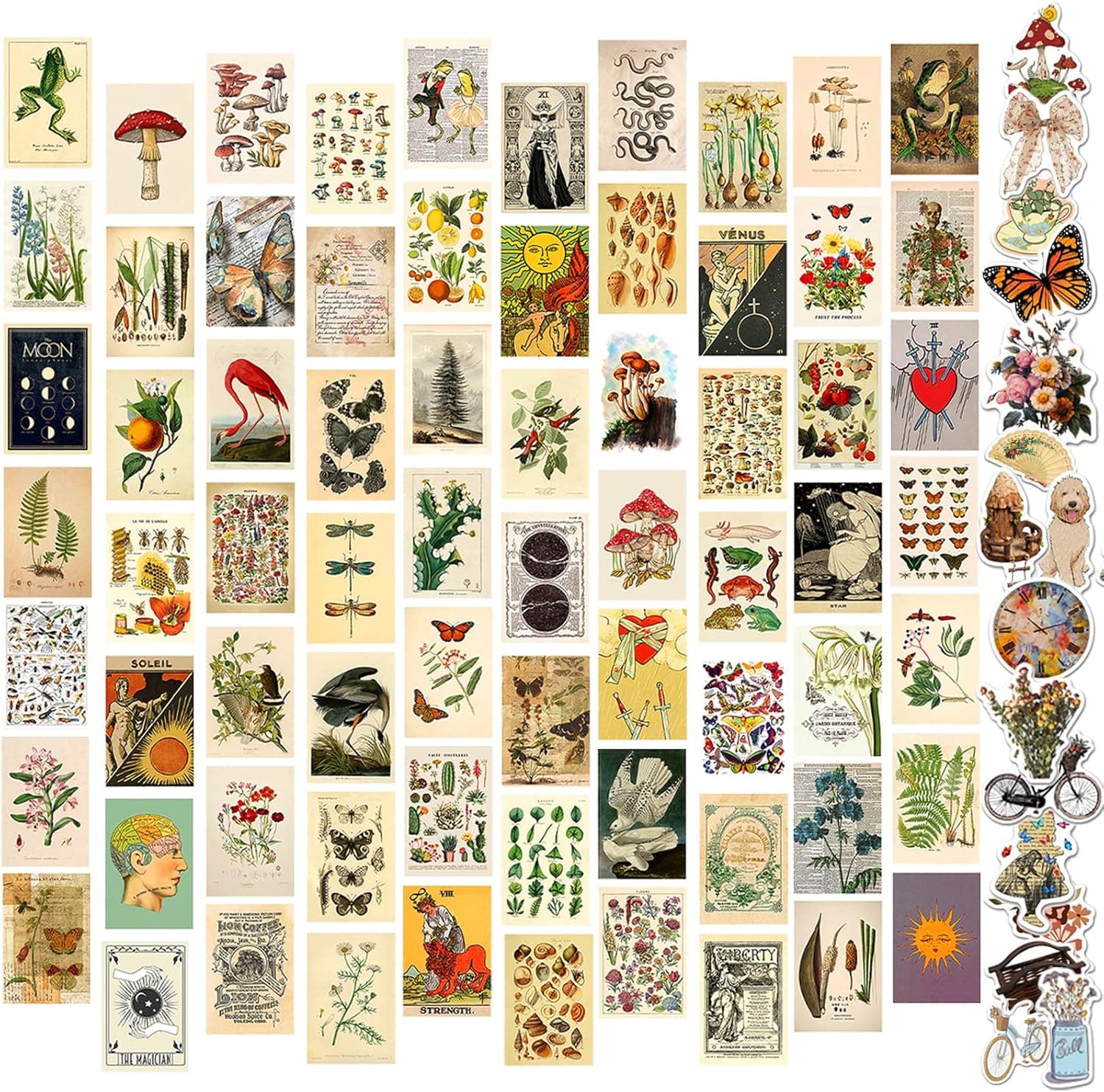 Jutieuo 120pcs Vintage Photo Wall Collage Kit Aesthetic Pictures, Double-Sided Printed Vintage Botanical Illustration Tarot Aesthetic Posters for Teen Girls Cottage Core Room Decor Wall Art