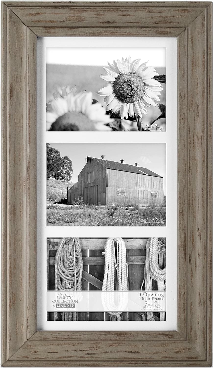 Malden International Designs Whitman Gray Wash Matted 3 Opening Collage Wood Picture Frame, 5 by 7-Inch