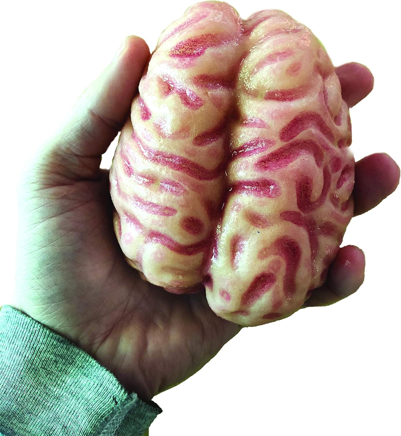 Growing Super Absorbent Brain | Your Brain will Grow Humongous | Just Add to Water | Copernicus Toys