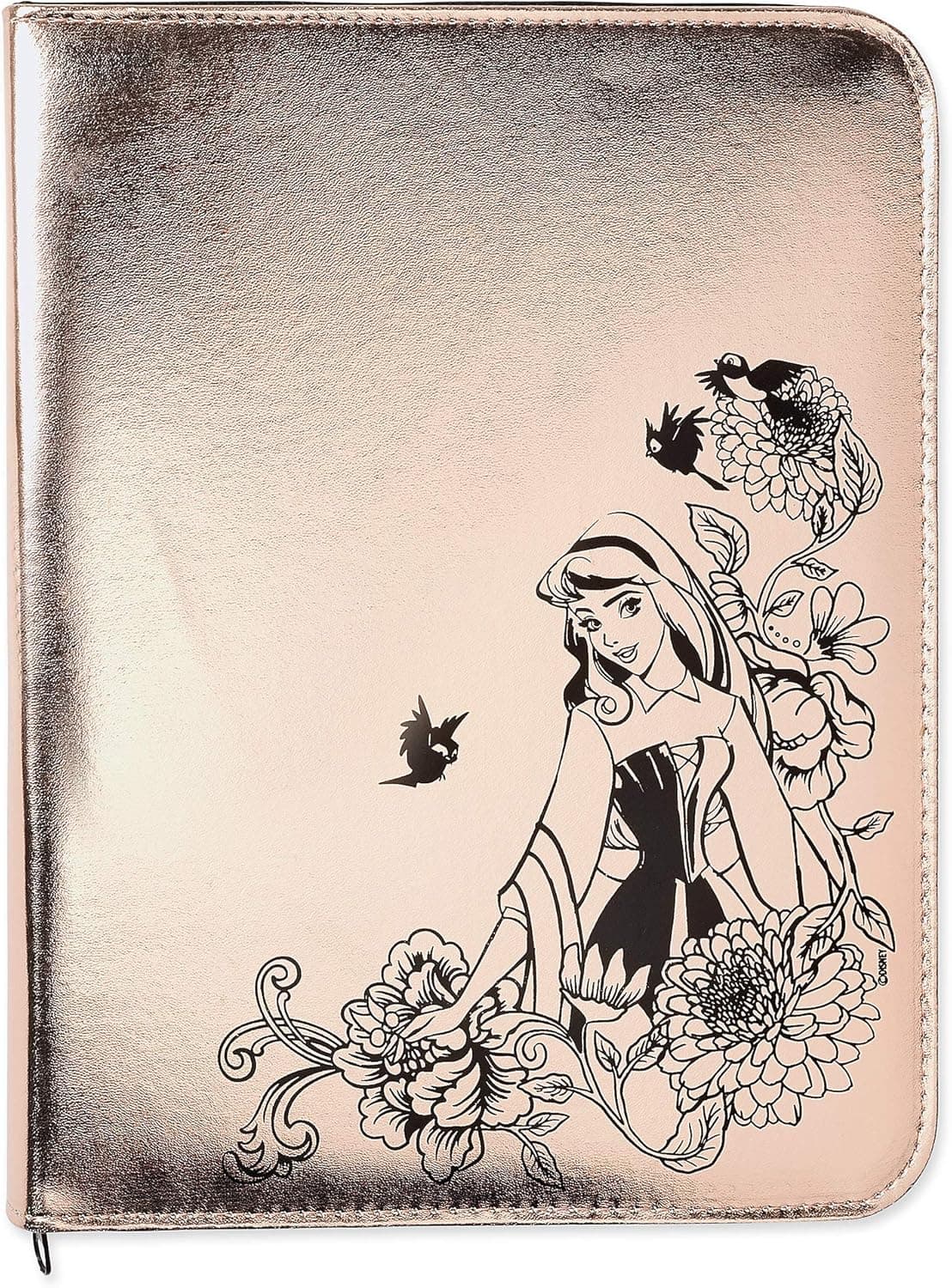 Disney Sleeping Beauty Deluxe Journal Set - 60th Anniversary