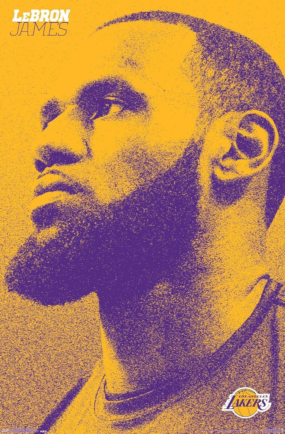 Trends International NBA Los Angeles Lakers - Lebron James 18 Wall Poster, 22.375" x 34", Premium Unframed Version