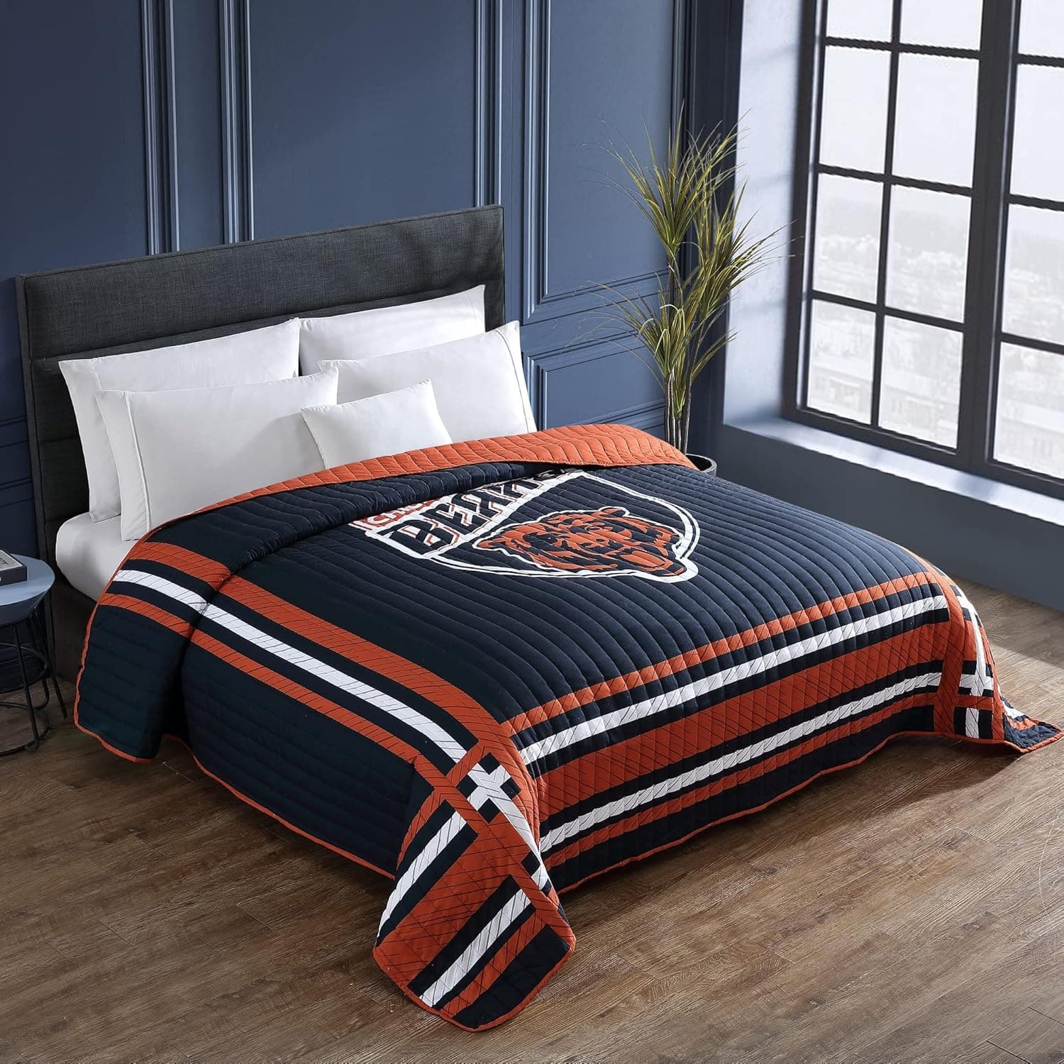 CS CATHAYSPORTS NFL Unisex-Adult Placard Quilt Blanket