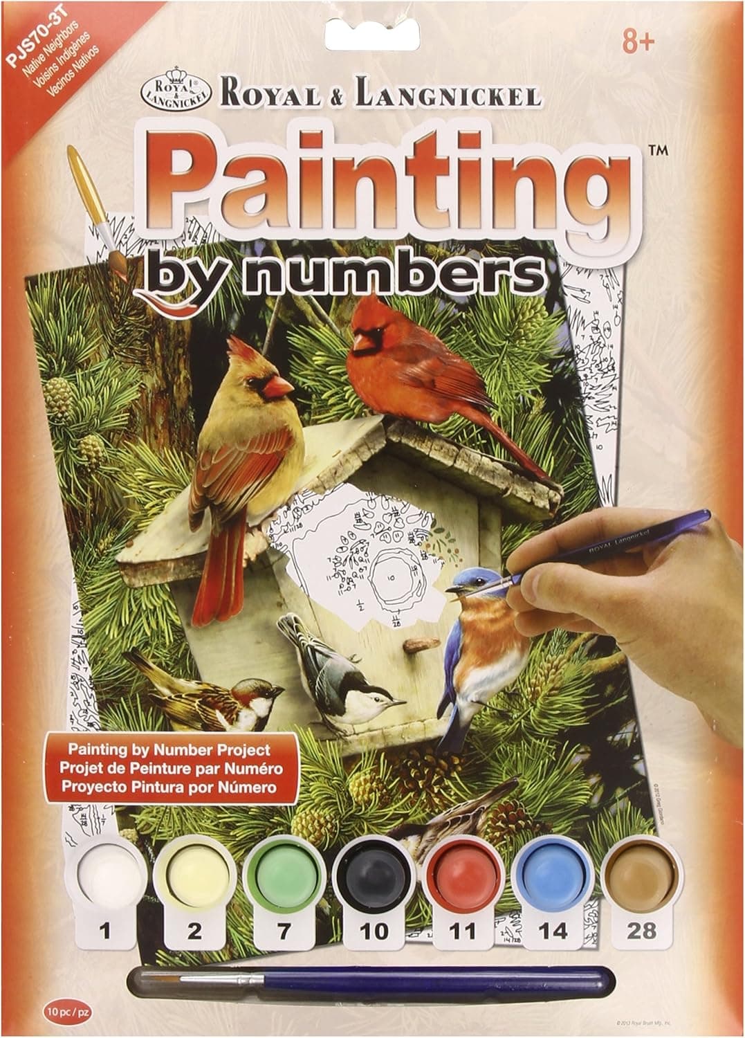 ROYAL BRUSH Junior Small Paint by Number Kit 8-3/4"X11-3/4-Native Neighbors