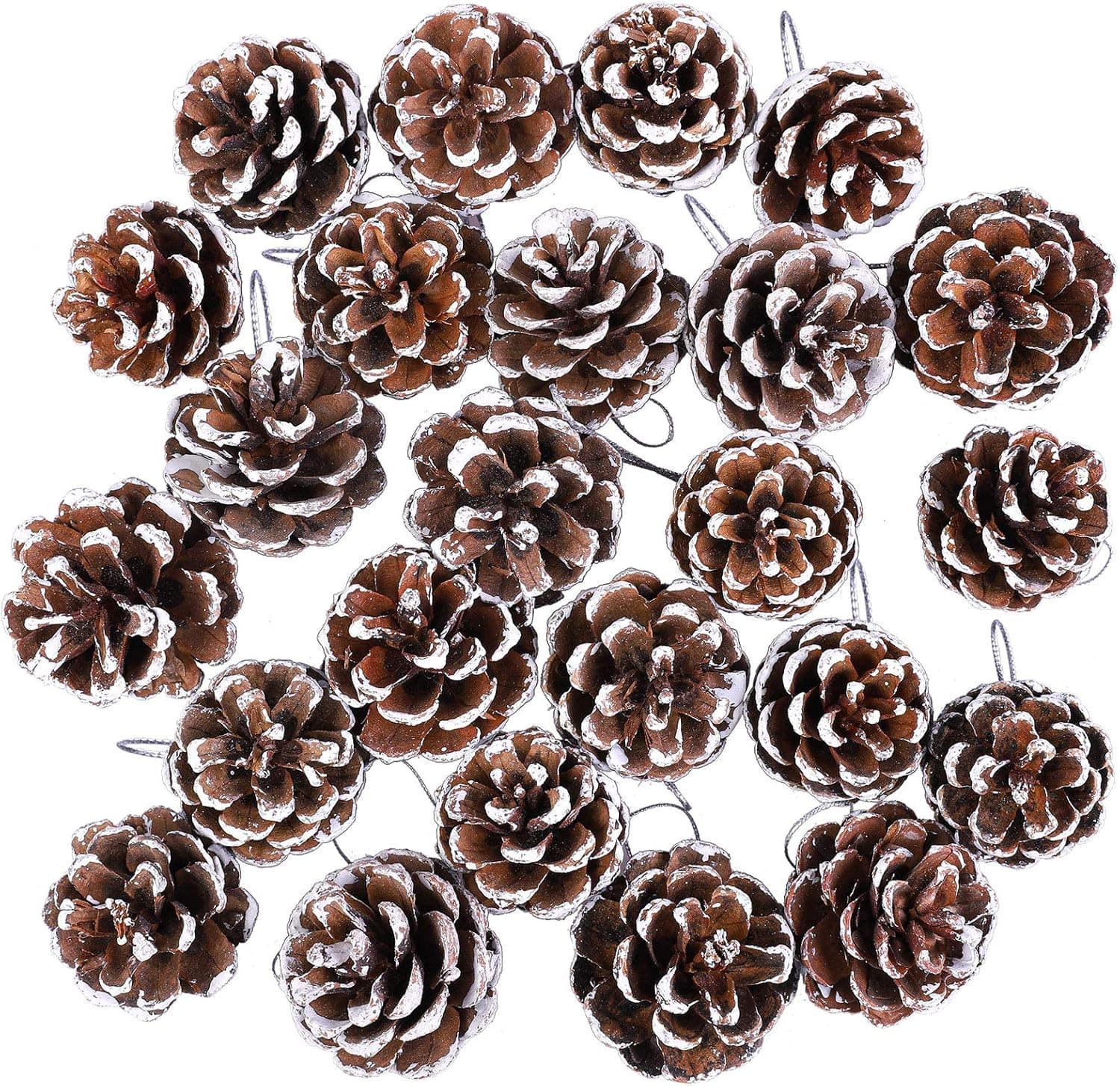 Cooraby 24 Pieces Mini Christmas Snow Pine Cones Natural Pinecones Ornament 3 to 4 cm Pinecones Pendant for Home Thanksgiving Christmas Party Decoration