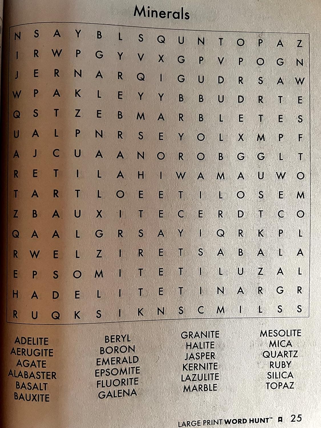 PAPP Large Print Word Hunt (Assorted, Volume Numbers & Quantities Vary) All New Puzzles