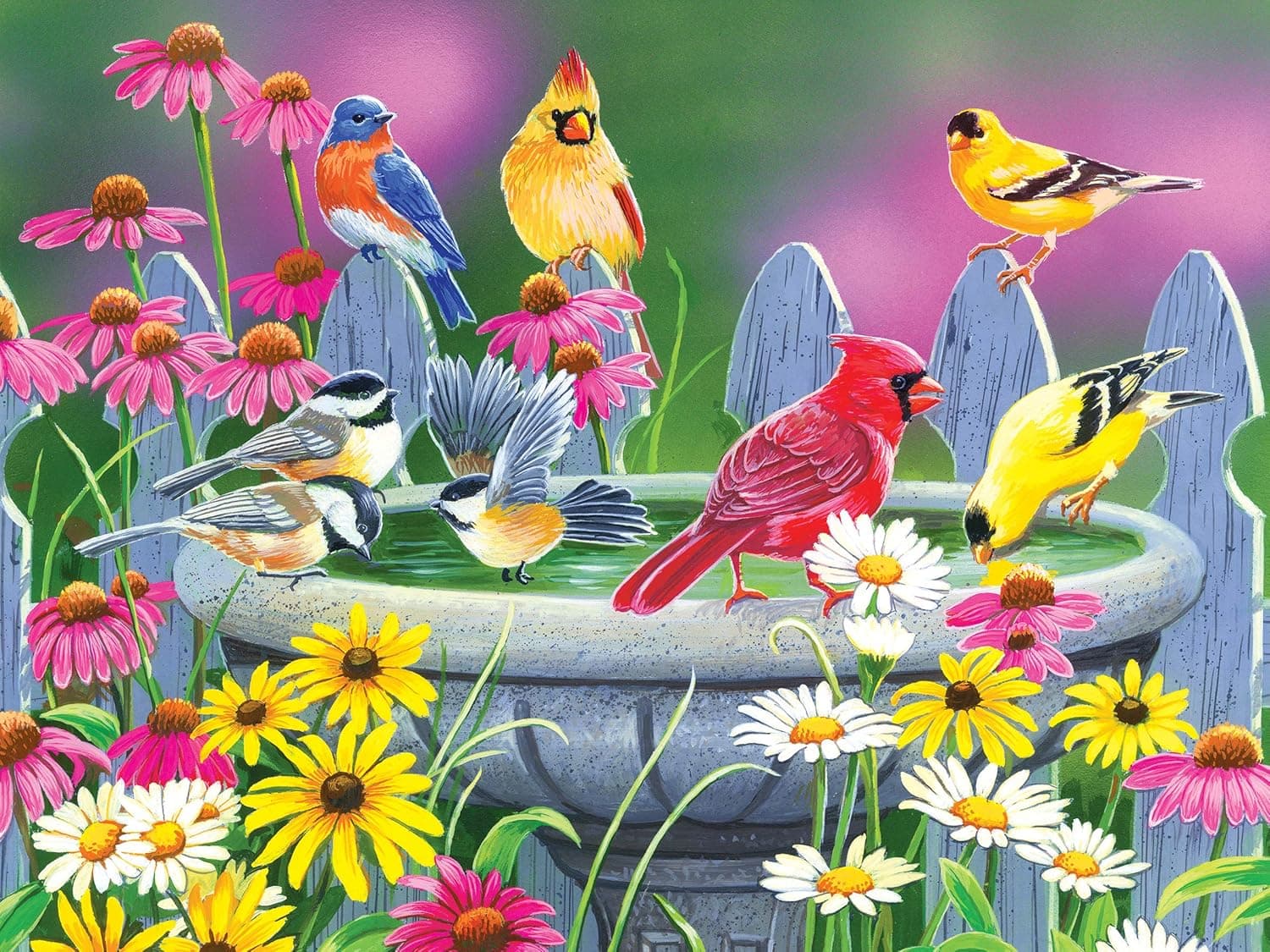 Puzzle Collector 500 Piece Jigsaw Puzzle - Learning to Fly by William Vanderdasson