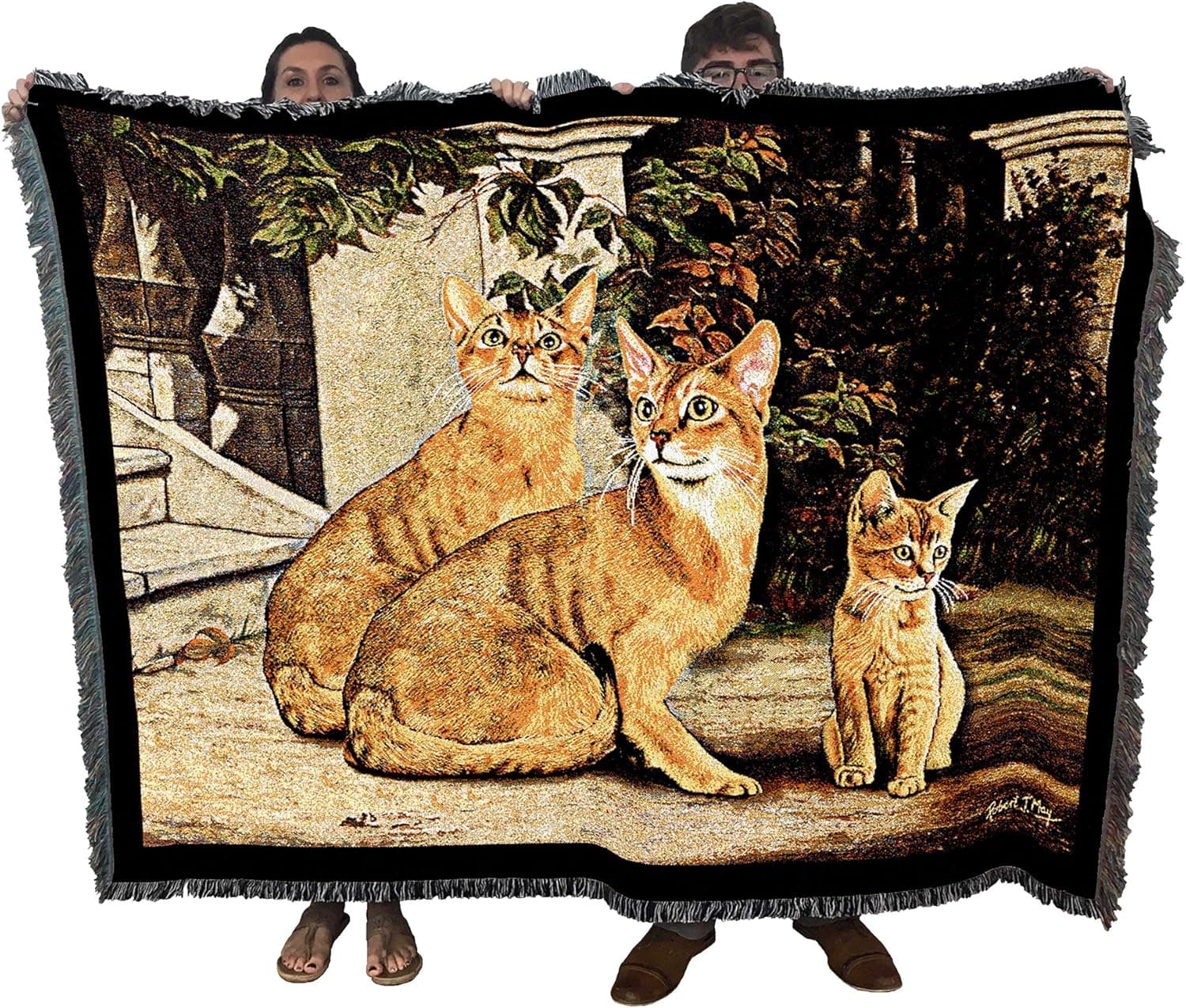 Pure Country Weavers Abyssinian Family Cat Blanket by Robert May - Gift for Cat Lovers - Tapestry Throw Woven from Cotton - Made in The USA (72x54)