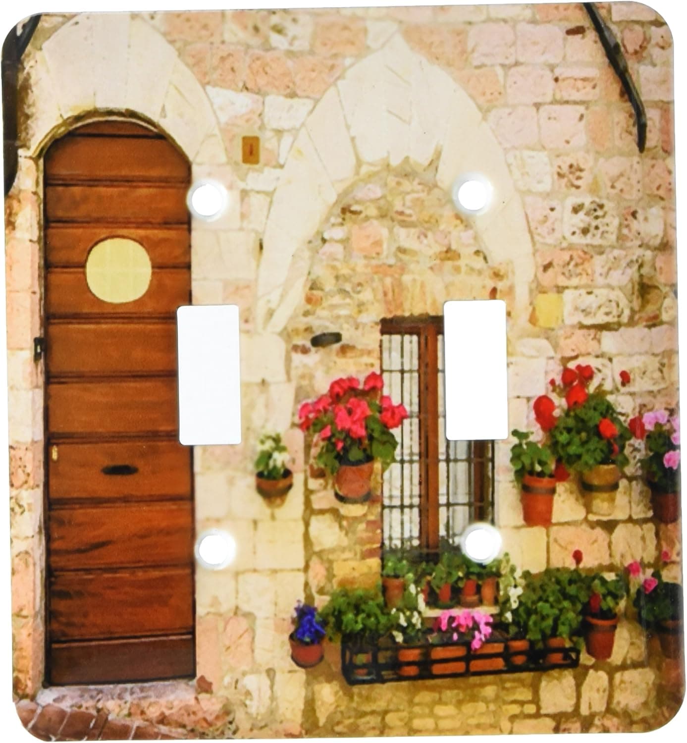 3dRose lsp_205034_2 Print of Painting of Old Italian Entryway with Flowers Double Toggle Switch