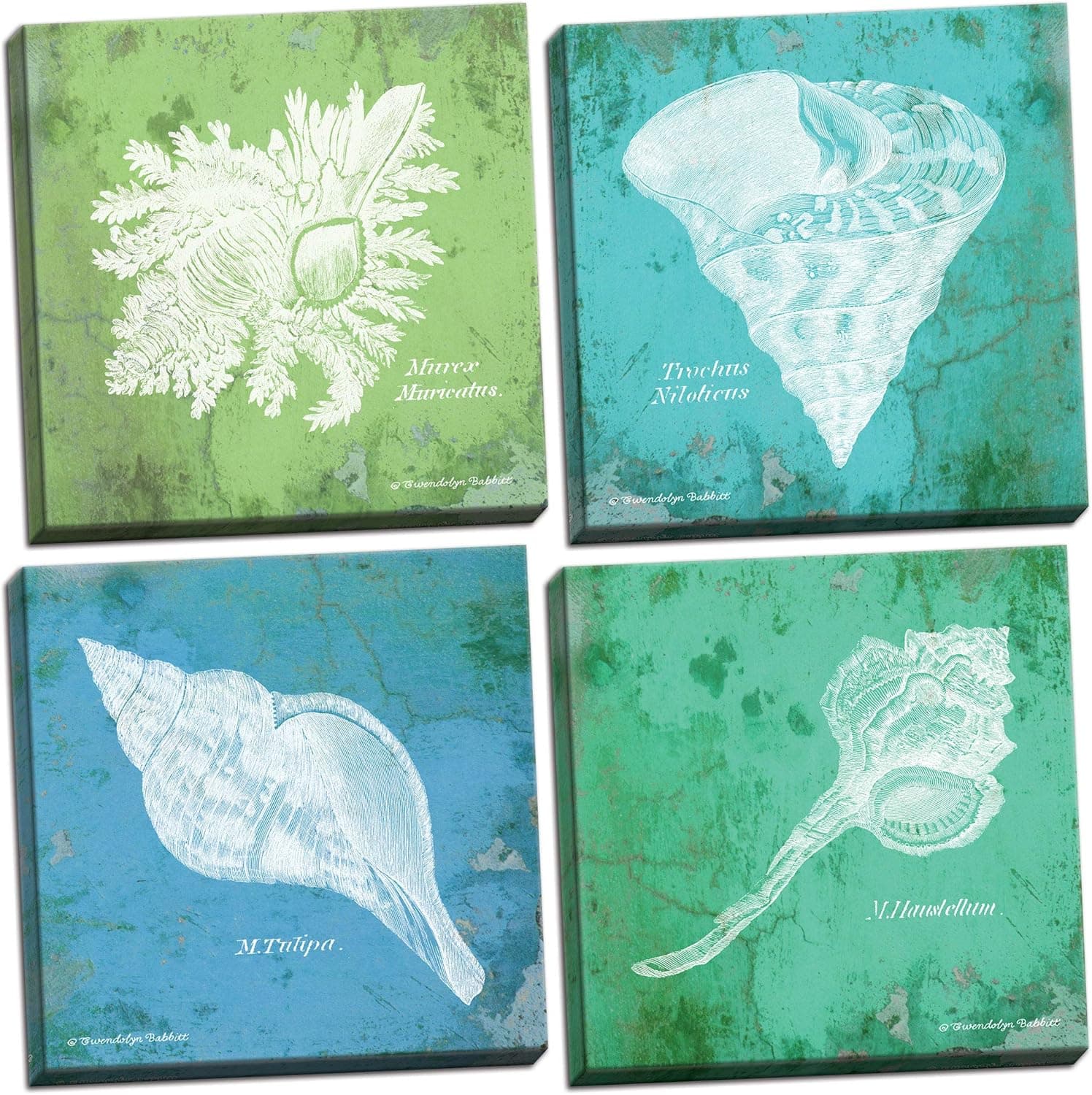 Elegant Retro Shells; Beautiful Hand-Stretched Canvas Coastal Art; 4 12x12in Ready to Hang!