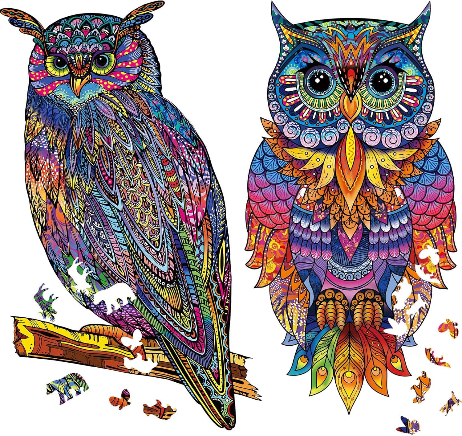2 Pack Owl Wooden Jigsaw Puzzles for Adults Owl Animal Wooden Shaped Jigsaw Puzzles Owl Colorful Bird Puzzles Wooden Craft Gifts with 2 Storage Bags and 1 Storage Box