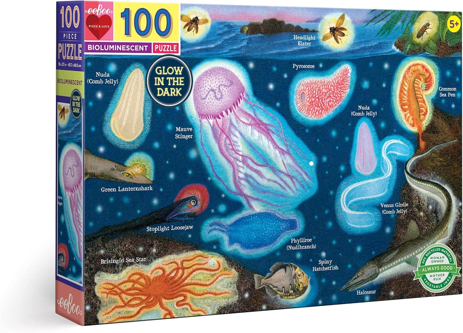 eeBoo: Bioluminescent Glow in The Dark 100 Piece Rectangle Puzzle, Inspiring Introduction to The Phenomenon of Bioluminescence, Perfect for Ages 5 and up