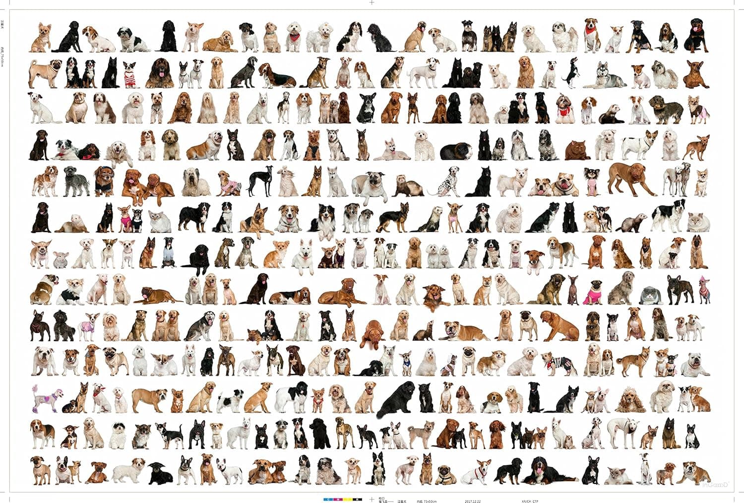 Ingooood- Jigsaw Puzzles 1000 Pieces for Adult- Painting Series-Various Dog- Entertainment Wooden Puzzles Toys Graduation Gift Special Birthday Gift Decompression Toys