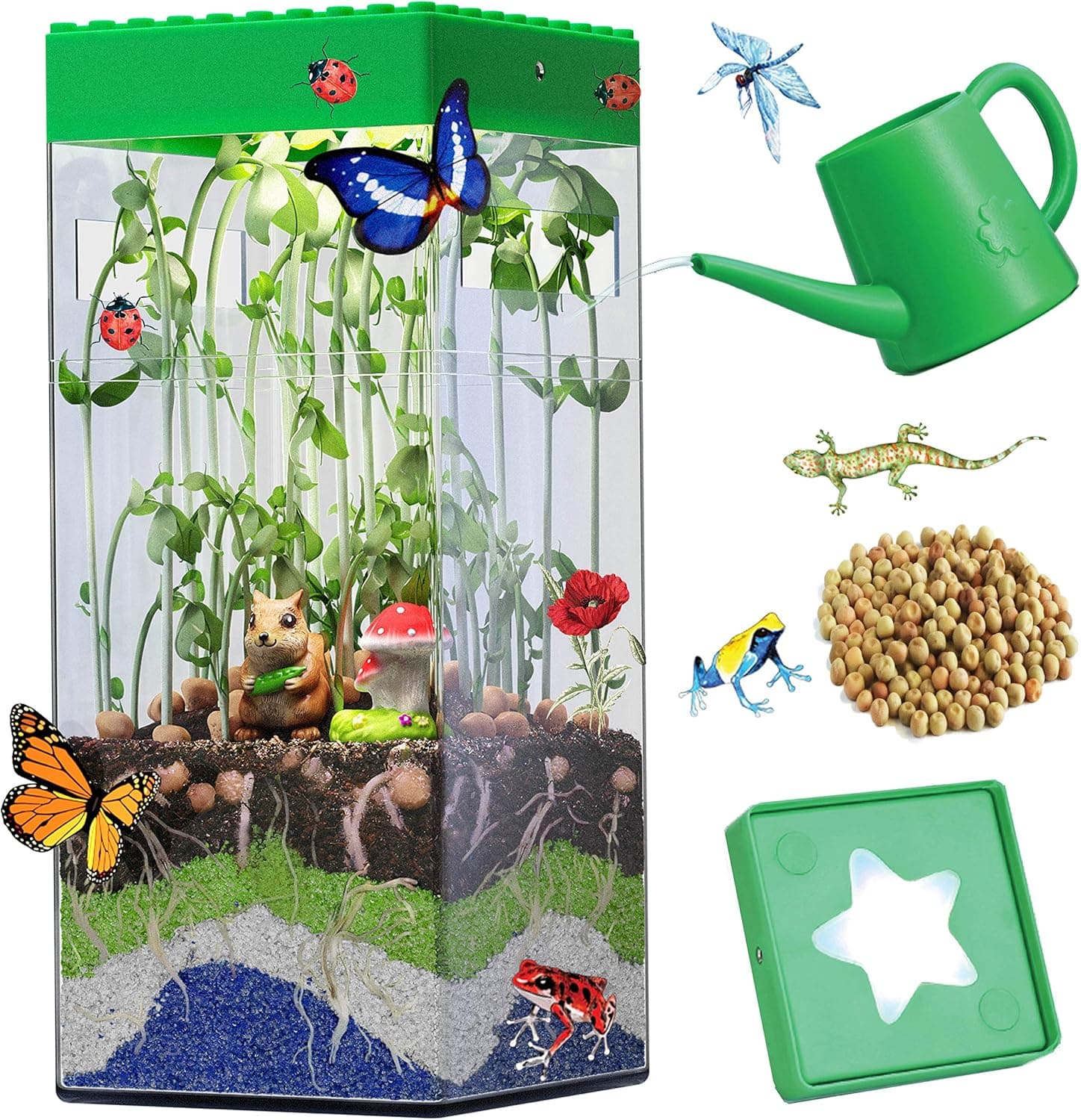 Heidi STEM Terrarium Kit for Kids and Adults Mini Vegetable Garden Microgreen Indoor Planting Kit Activities Biology Life Science Gift with LED Light