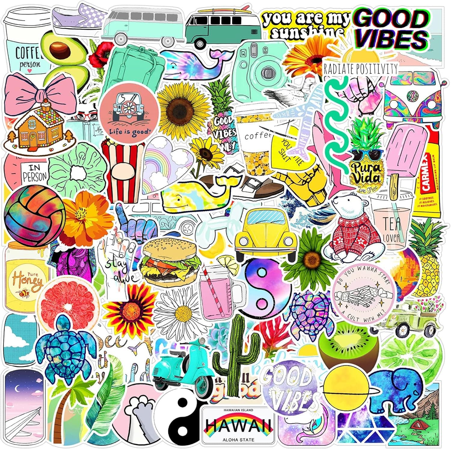 Educatgame 100Pcs Aesthetic Water Bottles Stickers,Fresh and Natural Style Stickers for Kids Teens Girls Adults Vinyl Waterproof Sticker Aesthetic Stickers Suitable for Mobile Phone Computer Skateboard Water Bottle Suitcase Car etc (100Pcs-B)